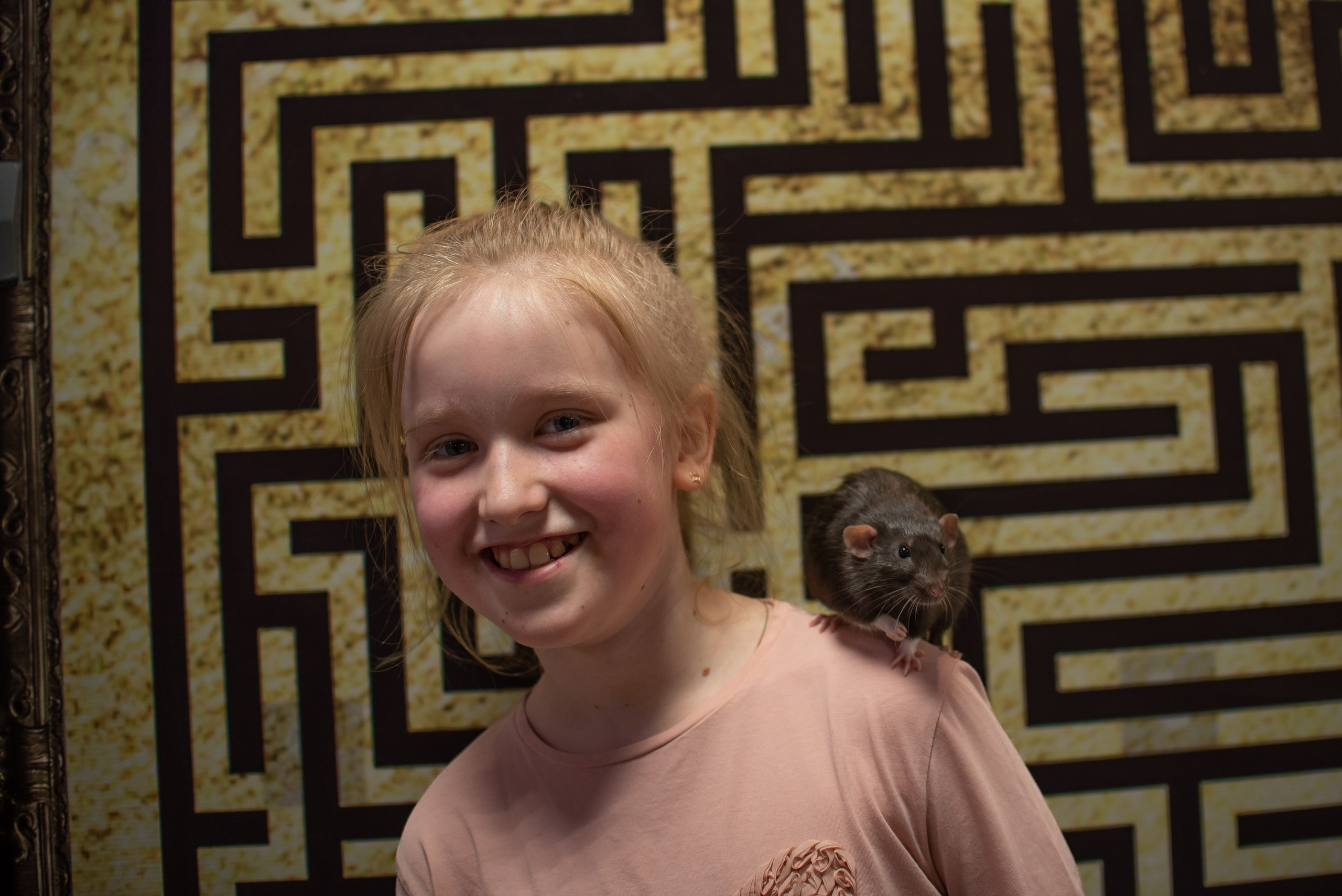 Фотограф на День Рождения. Фотограф Макс Огурцов в Нижнем Новгороде