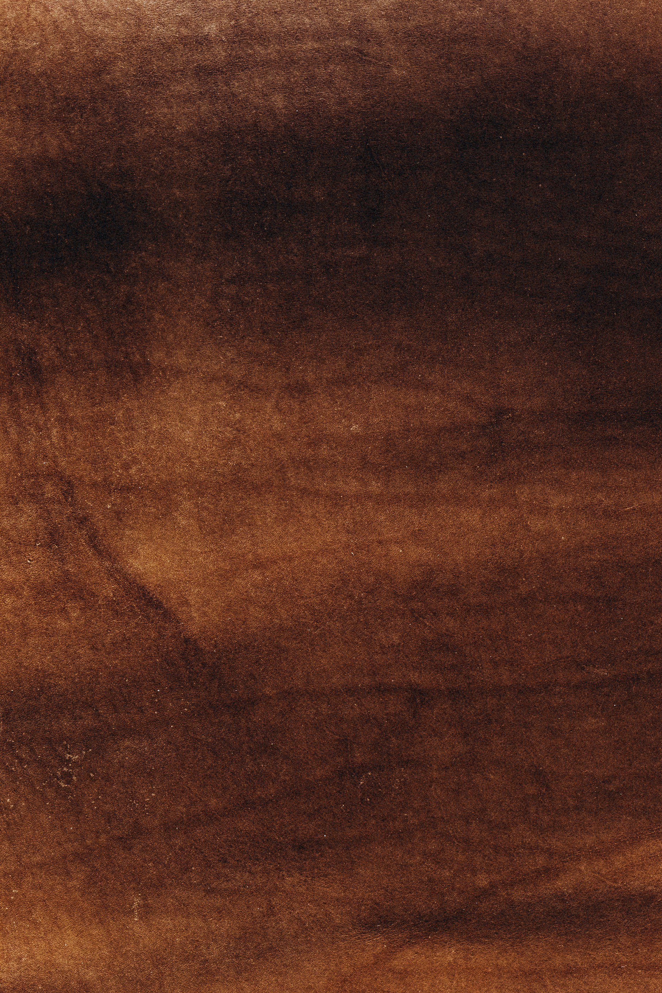 FILIPPOV DYNASTY. Фотограф Настя Конник | Пятигорск | Эльбрус | Домбай | Архыз