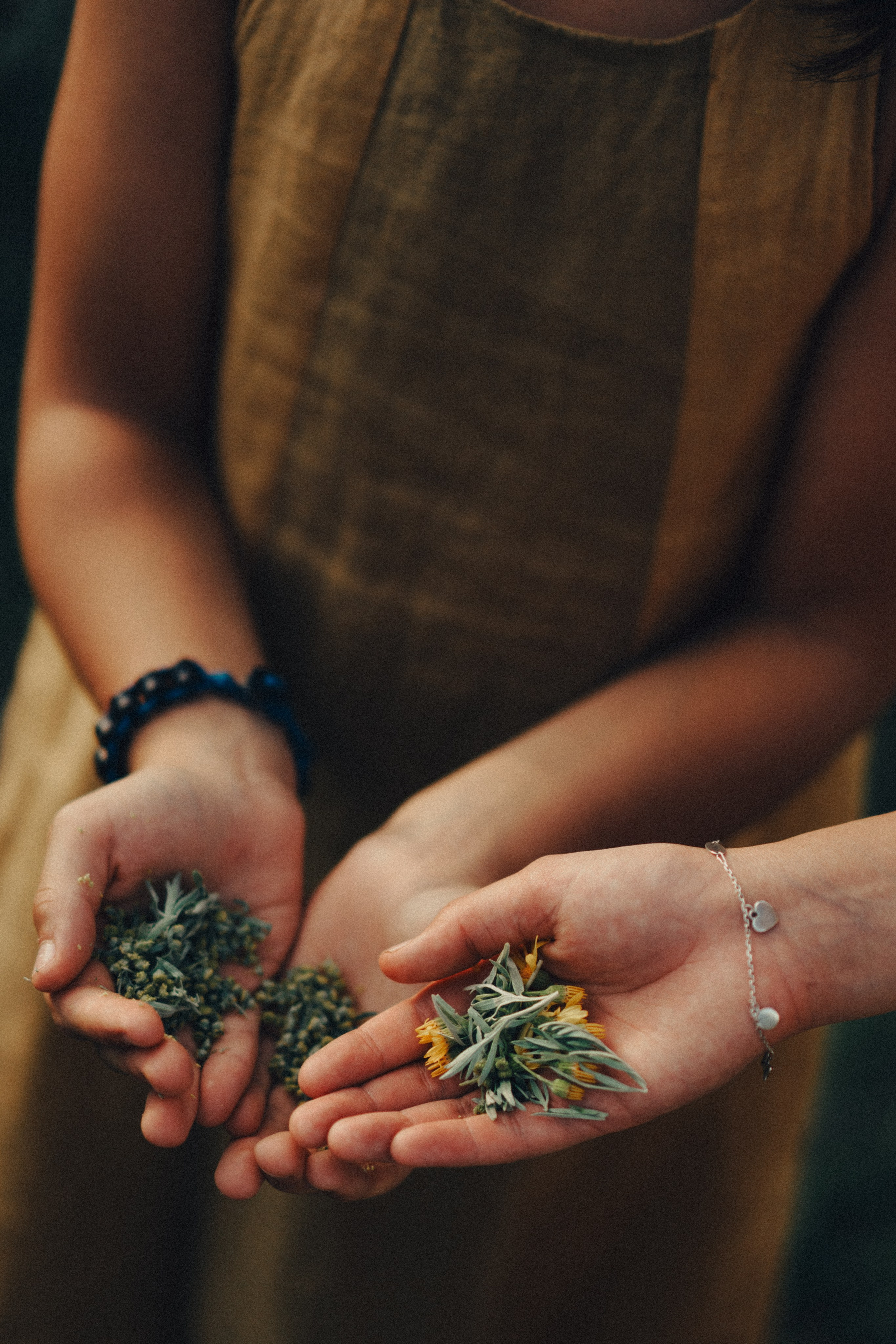 Съемка мечты. Семейный и детский фотограф и видеограф в Москве, Серпухове и Тарусе Валерия Сорокина