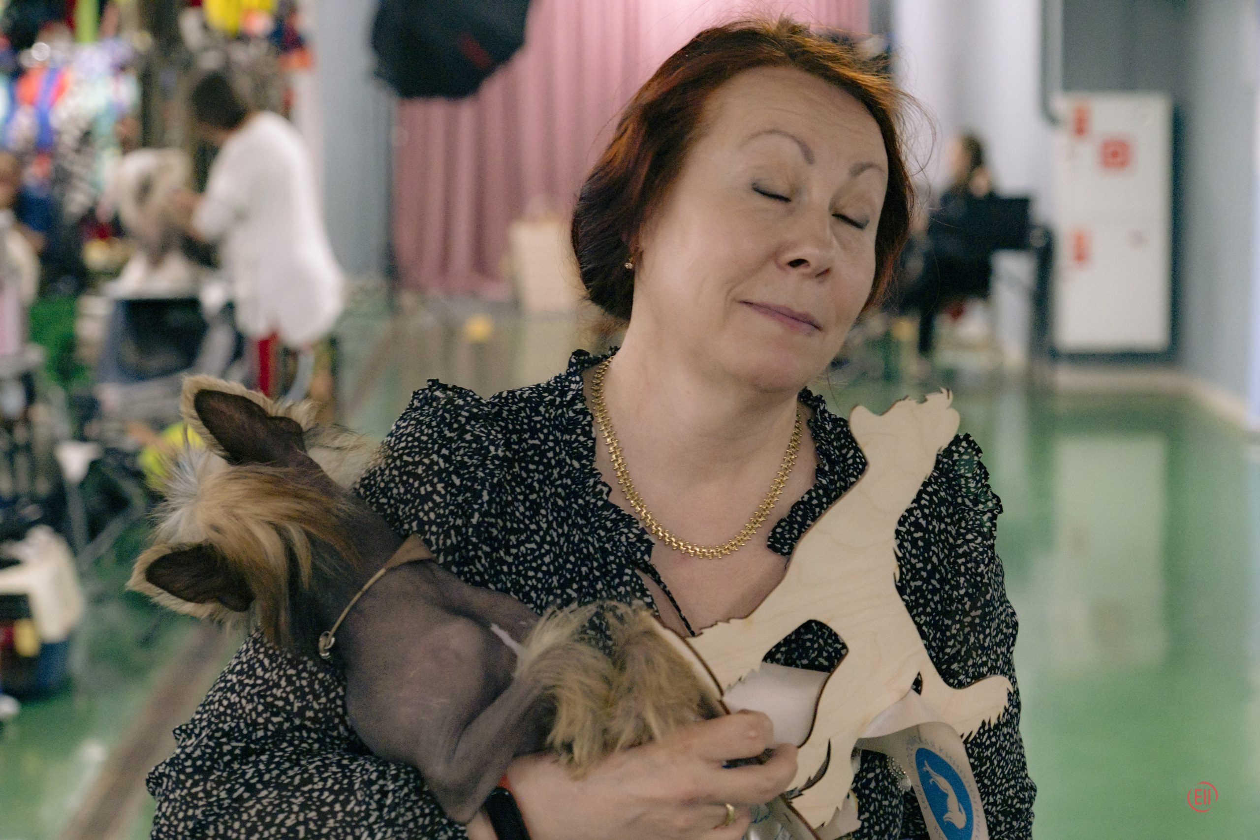 Национальная выставка китайских хохлатых собак 2023. Питомник китайских хохлатых собак Poale Ell: купить щенка