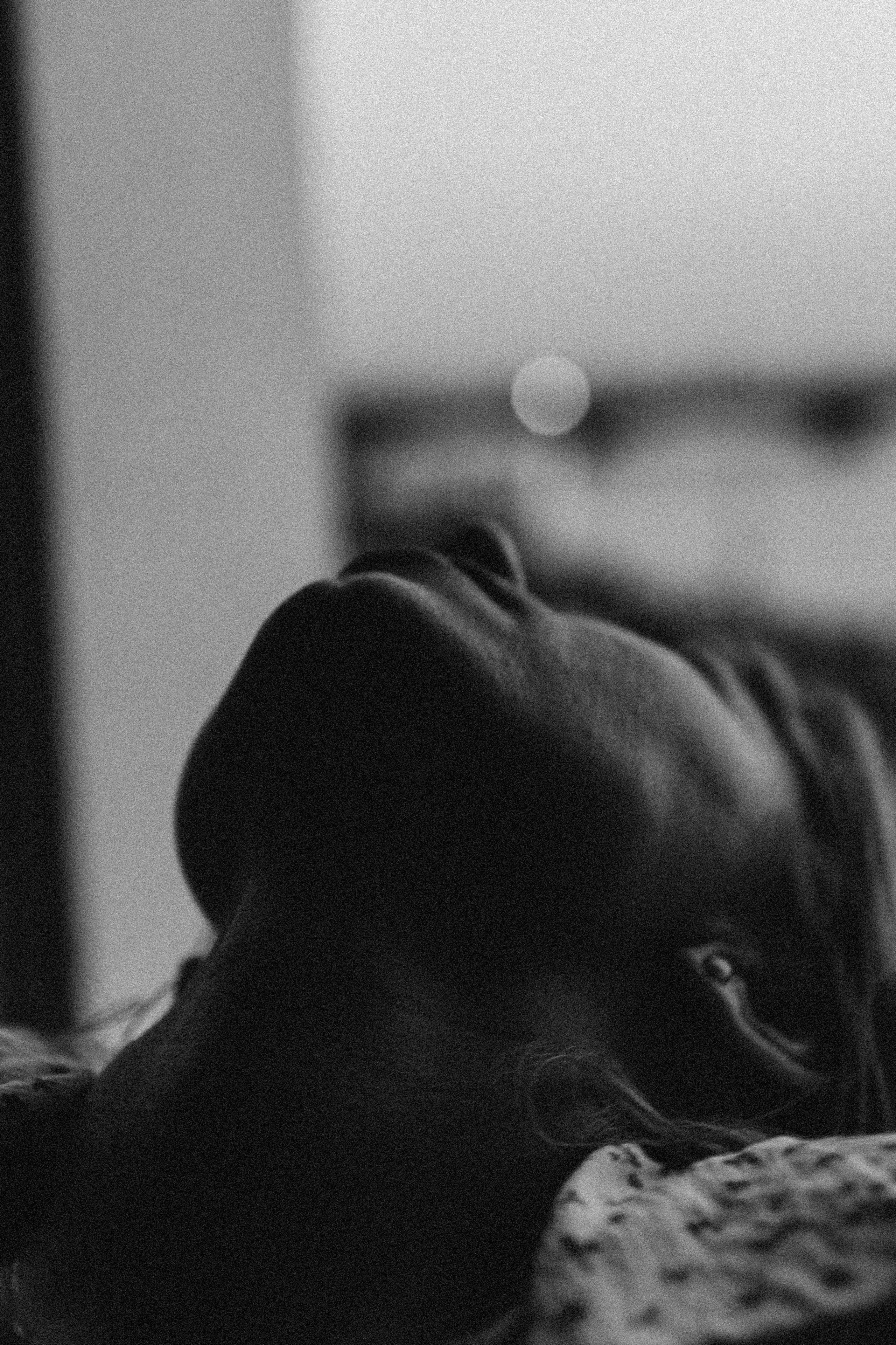 ЛЕТНИЙ ВЕЧЕР. Профессиональный фотограф, Санкт-Петербург — Виктория Богомолова