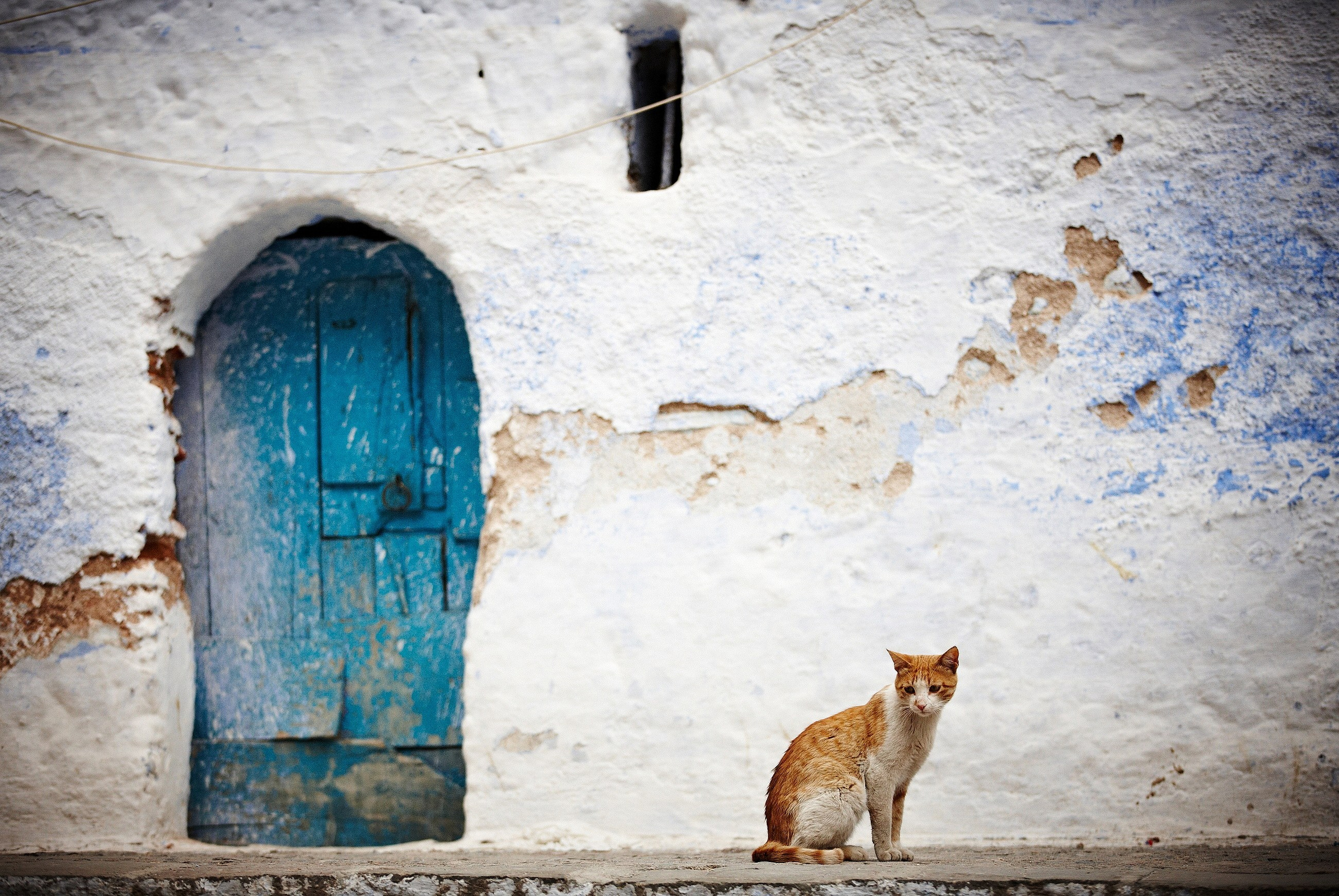 Ginnes Serran-Pagan. Художник. Скульптор. Поэт. Философ. Фотографирую масштабные события, людей и их истории по всему миру. Константин Трубников