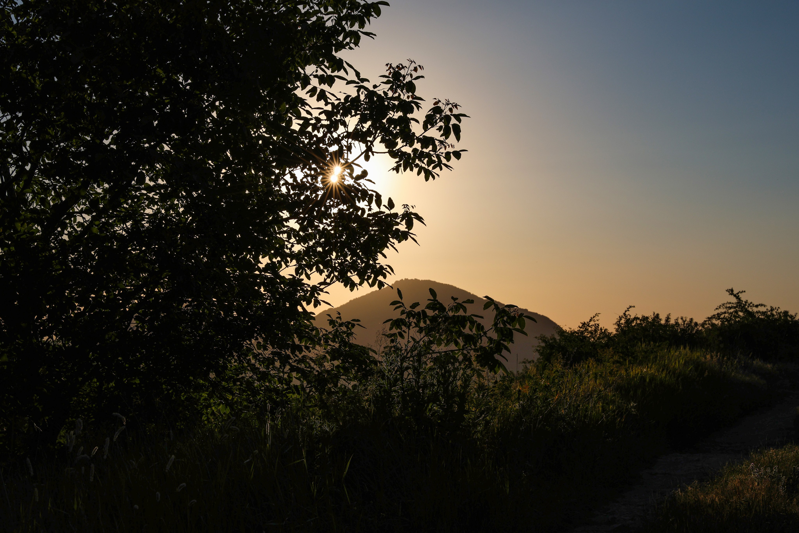 Фотограф Мария Алексеева. Мария Алексеева. Фотограф в Москве
