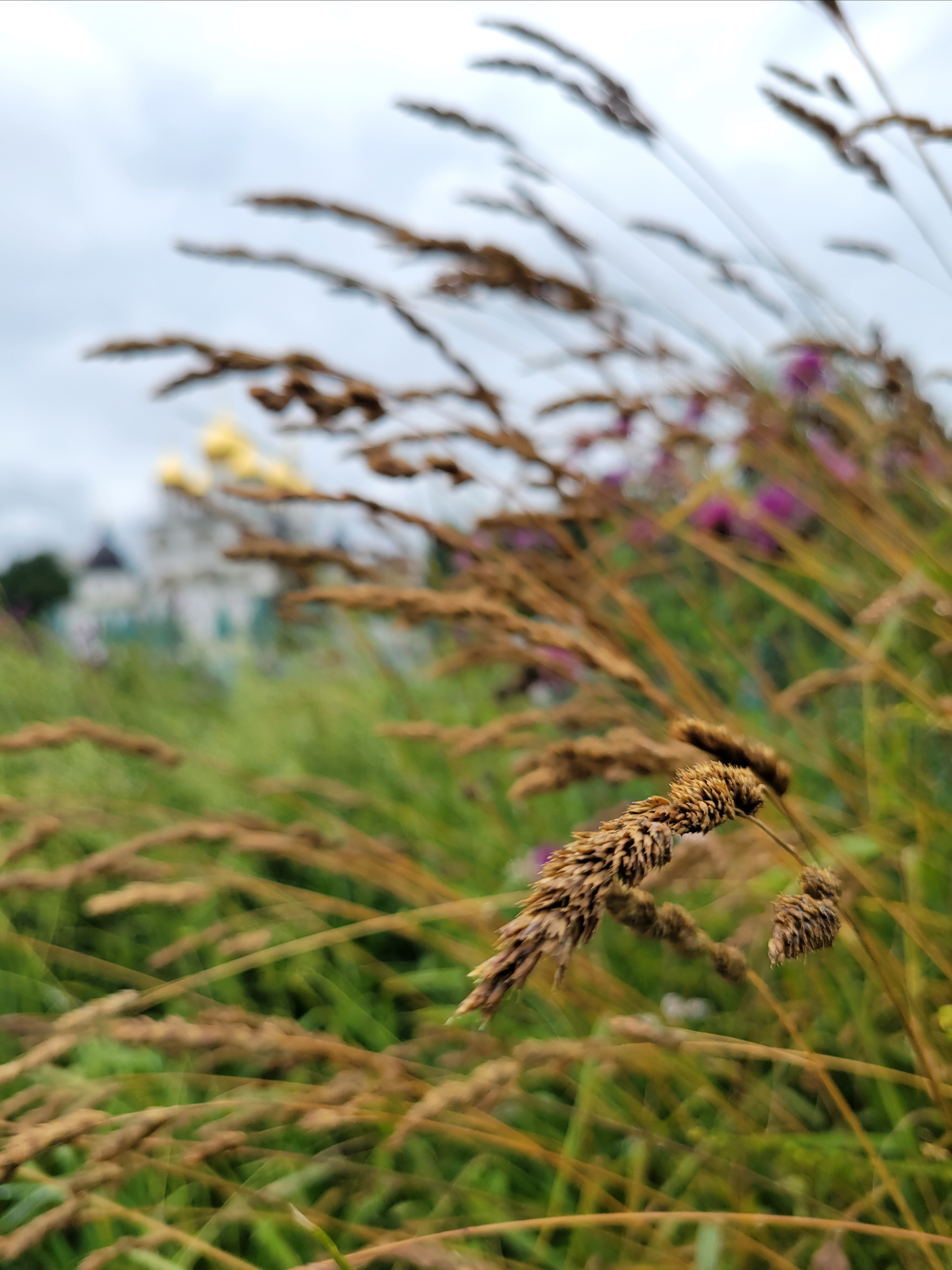 Собор был построен архитектором Алези, который строил Архангельский собор московского кремля