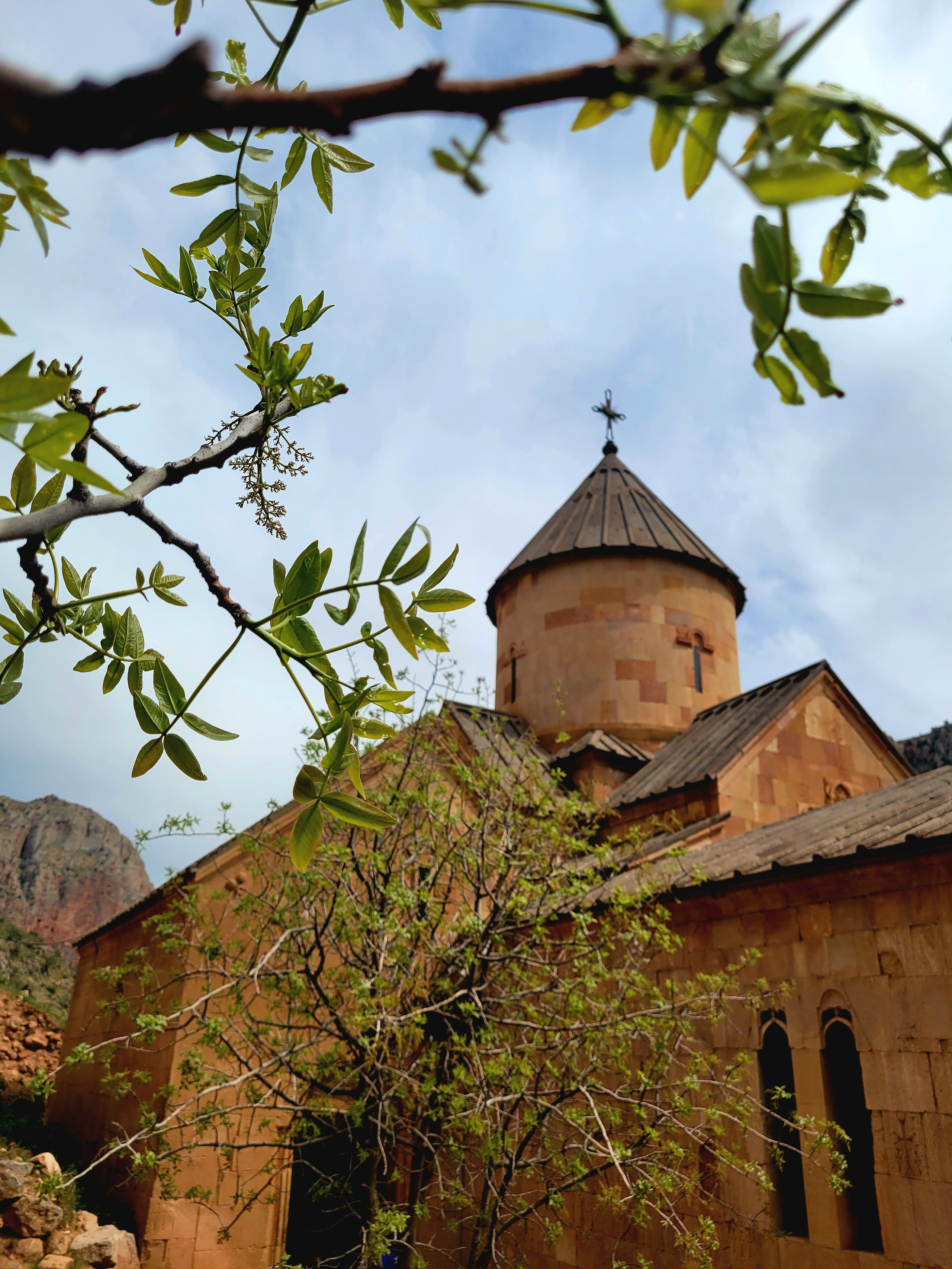 Легкий обед в ресторане на горе - свежие овощи и мясо