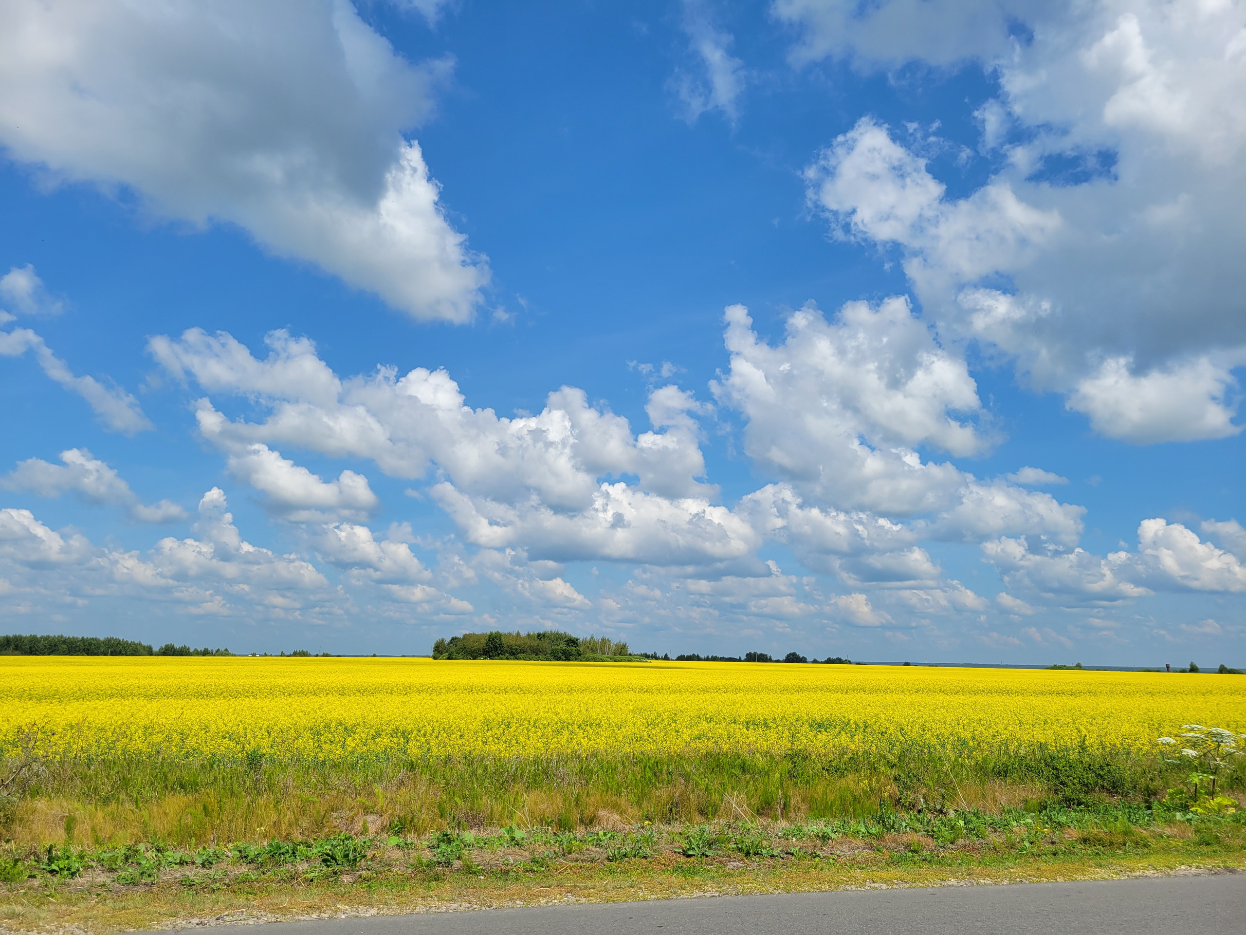 Владимирская область, недалеко от Мурома