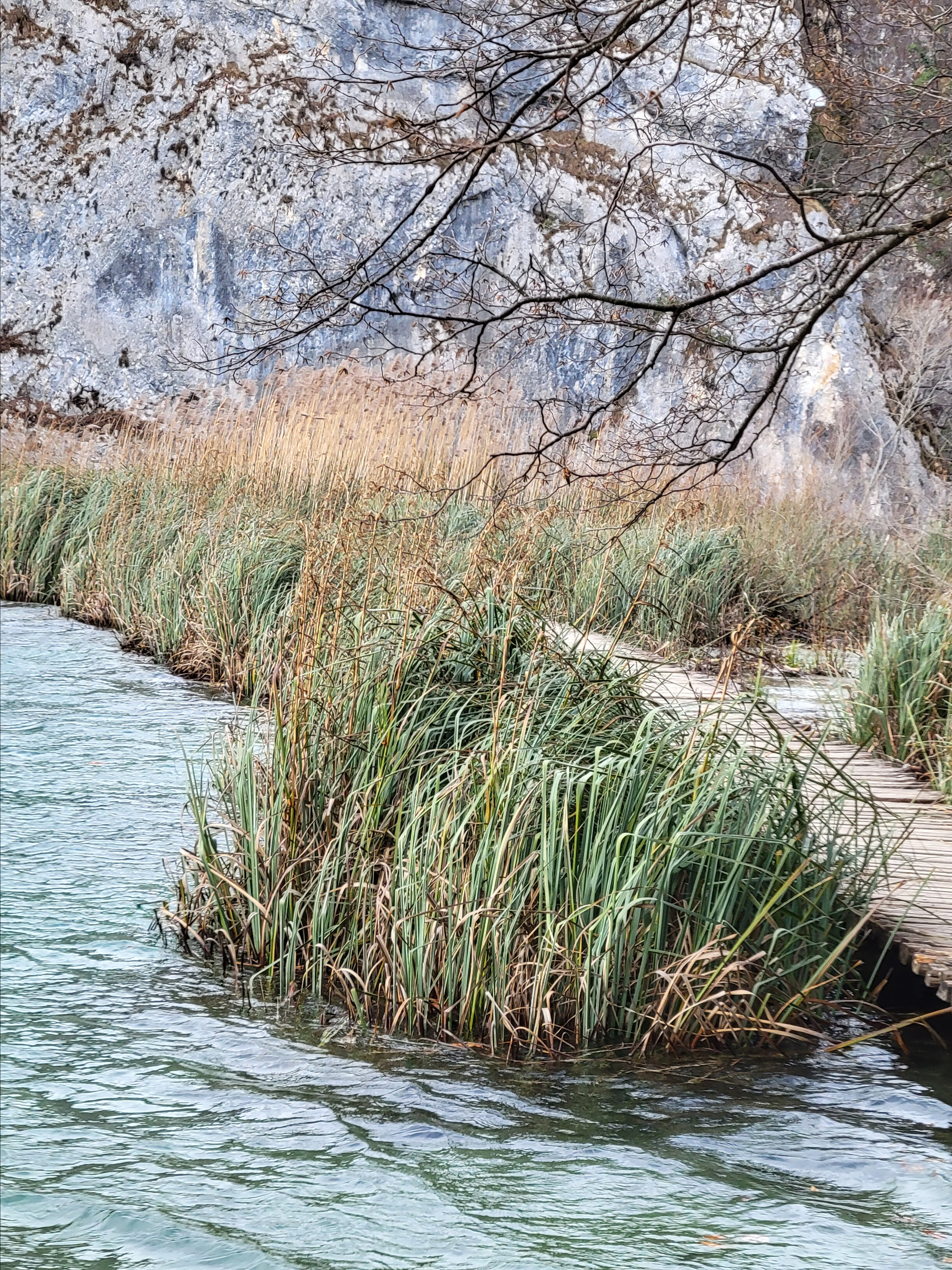 Почти вся трасса - по мостикам, чтобы не навредить ни флоре, ни фауне