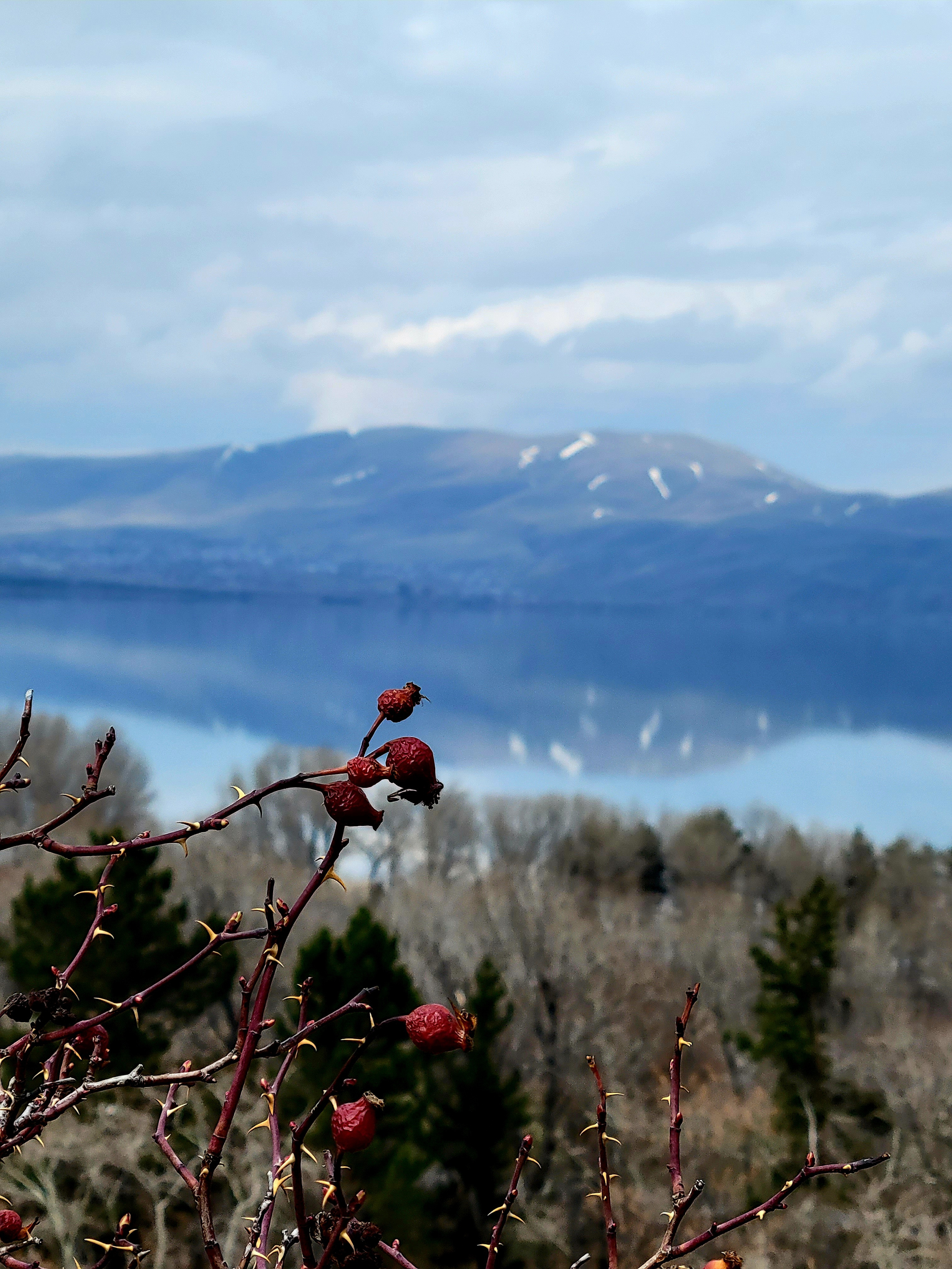 On Saturday we went to Sevan. It's +20, but on the lake's just only +10
