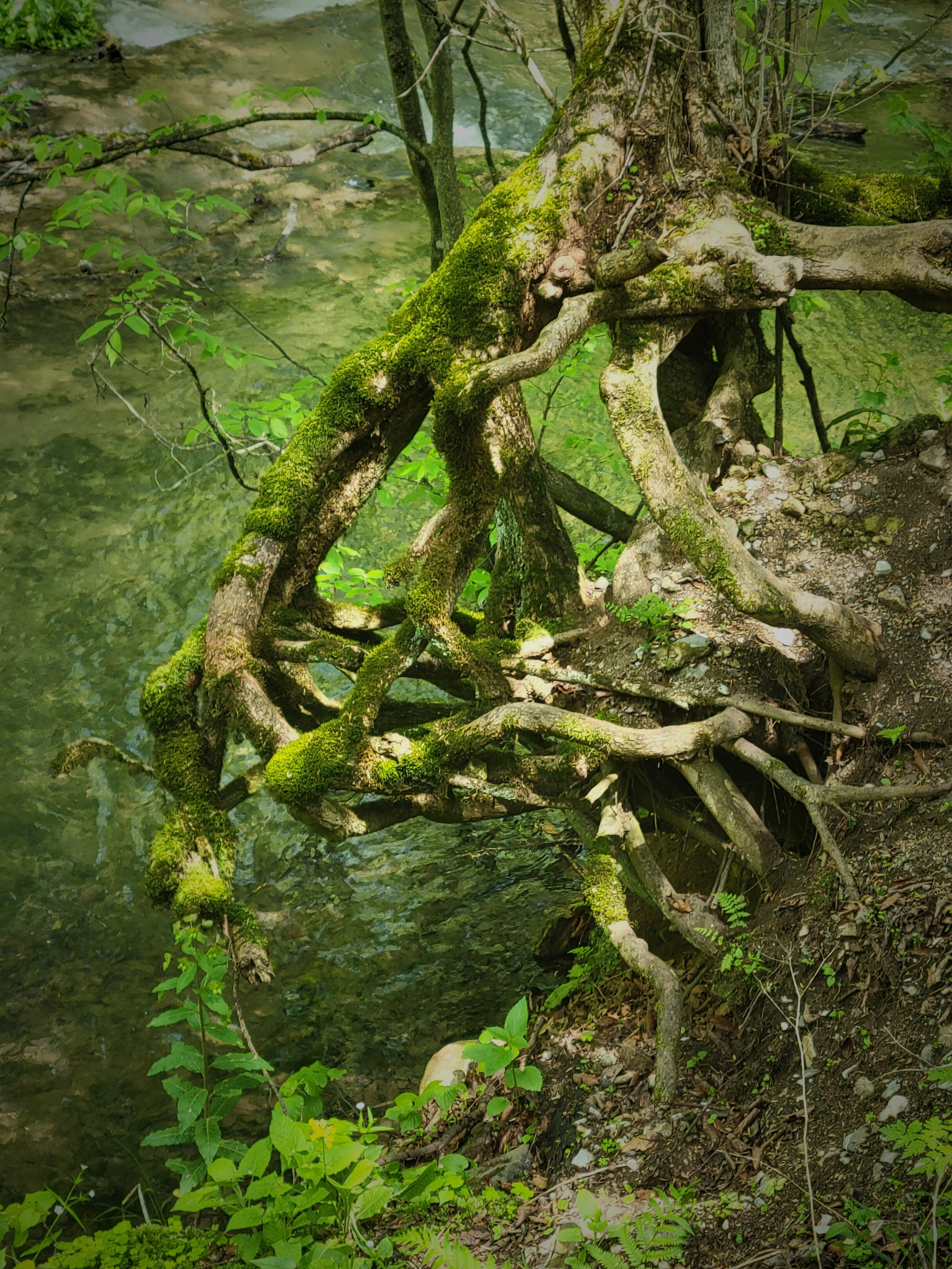 Как говорил герой к/ф "Мимино": "У нас в Дилижане кран открываешь, вода течет — второе место в мире занимает"