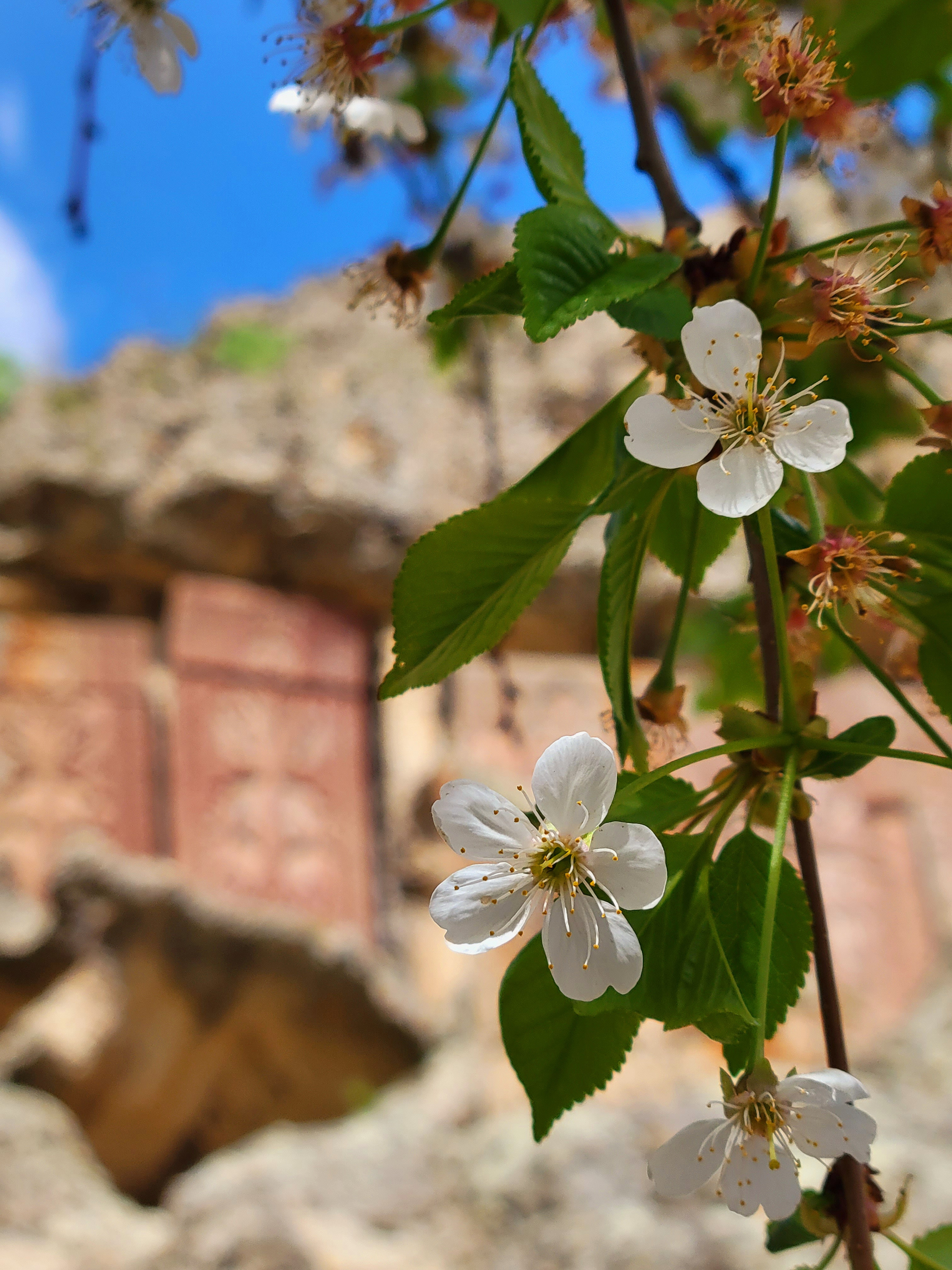 По описаниям в интернете - май, самый активный месяц в жизни змей, а в этом ущелье - особенно. Успокоившись, отправились в Гегард