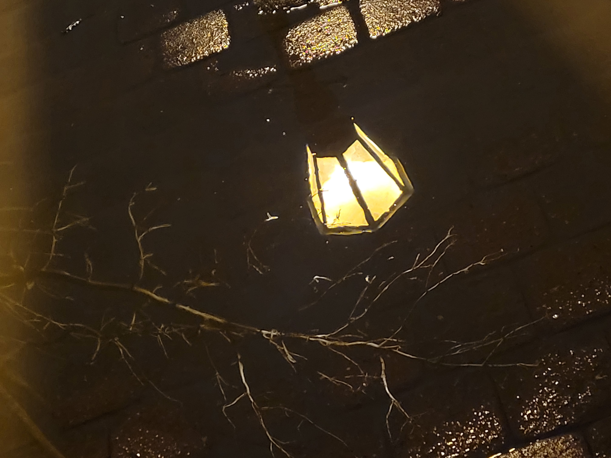 Ночью подмораживает, но лужи есть