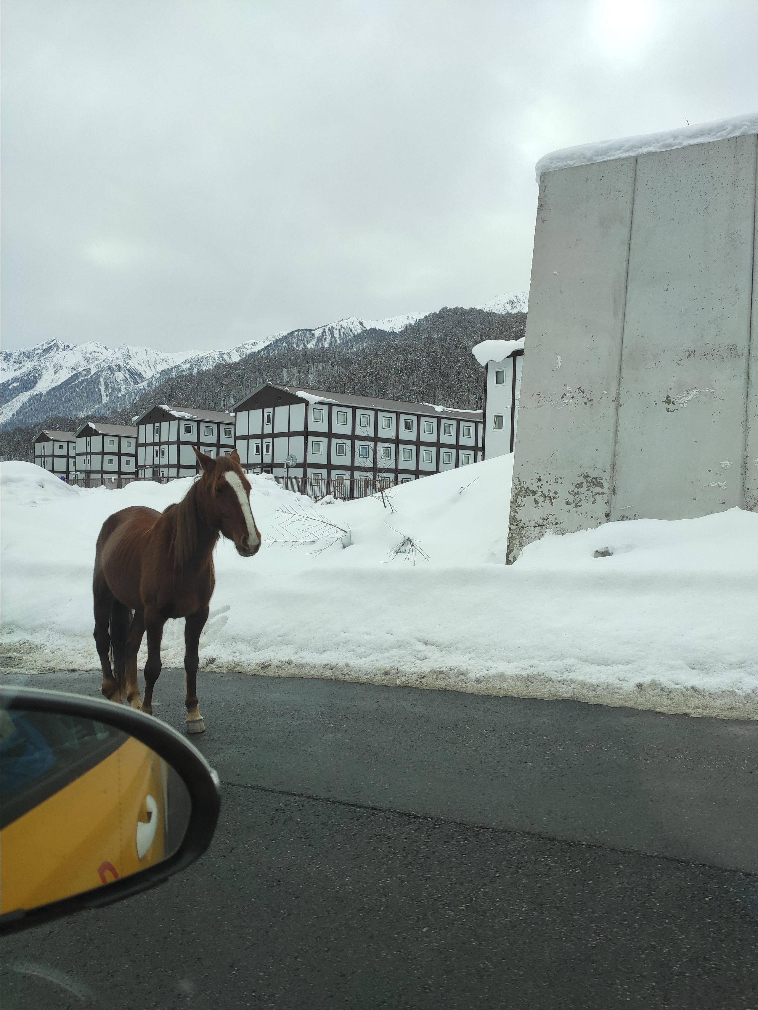 И такие вот транспортные средства встречаются