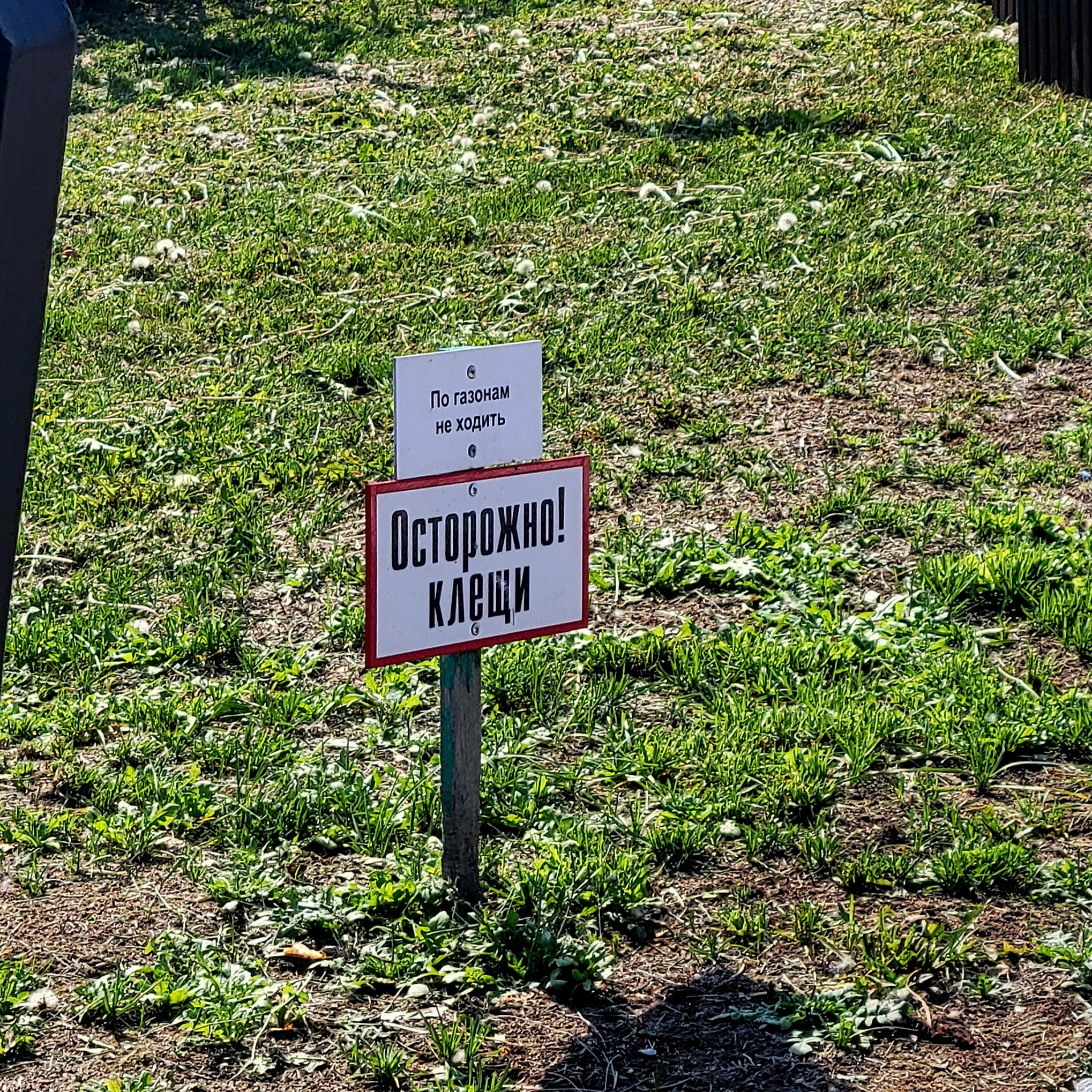 Свердловская область в начале лета - место активности клещей