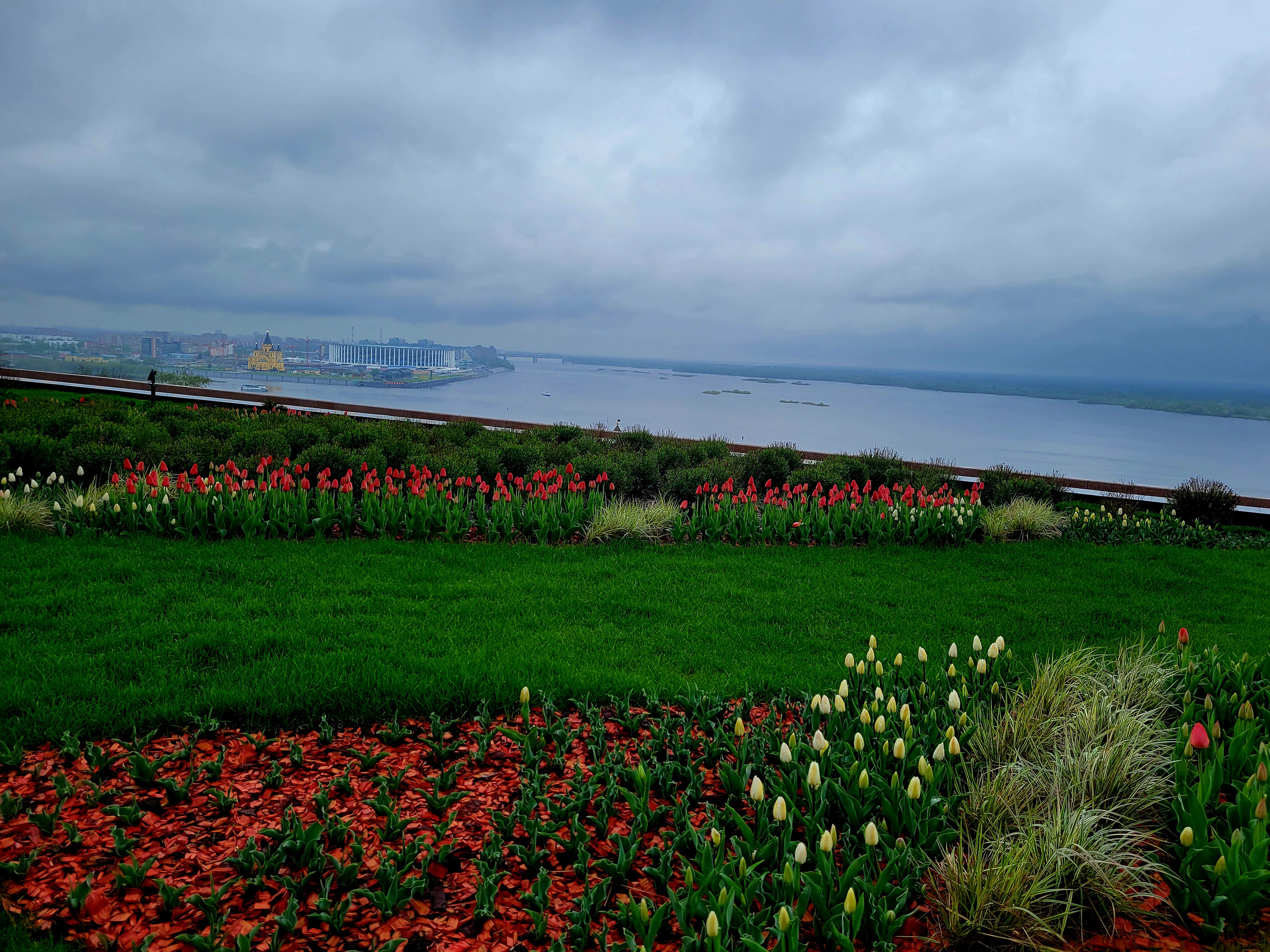 Тюльпаны не только в Кекенхофе