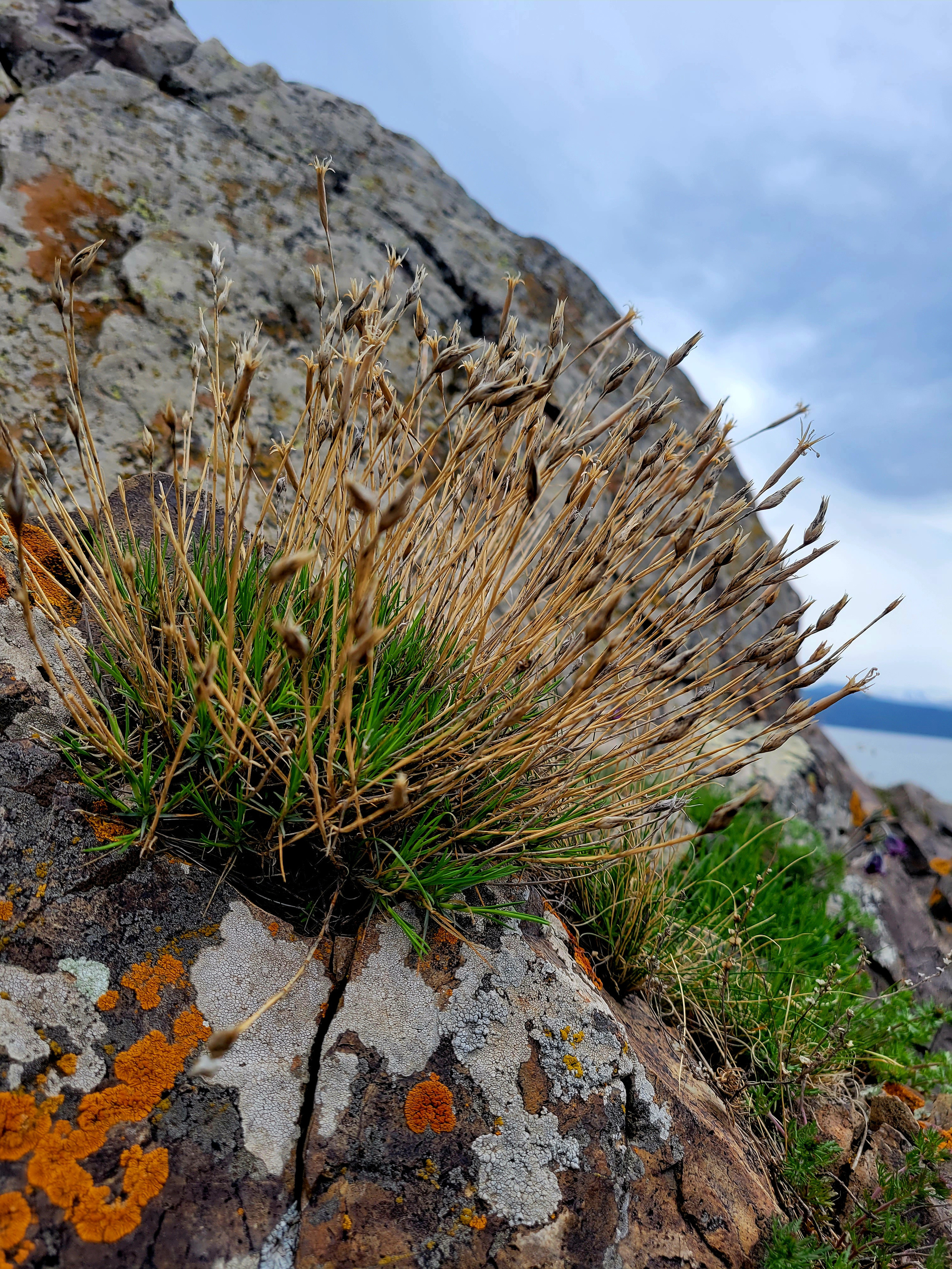Вода в озере прогревается к августу только до 18 градусов. Пляжей, отелей и лежаков вокруг много, но купаться, в общем, не самое подходящее место 