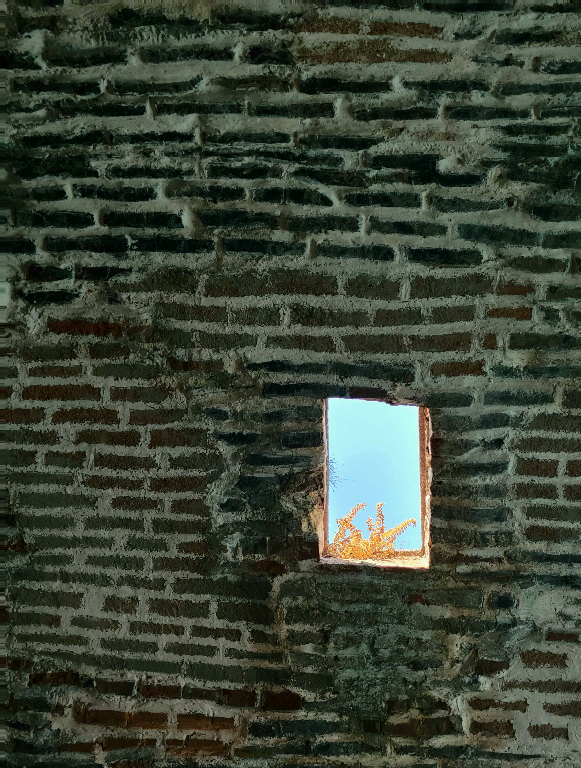 Легкая прохлада в верфях 