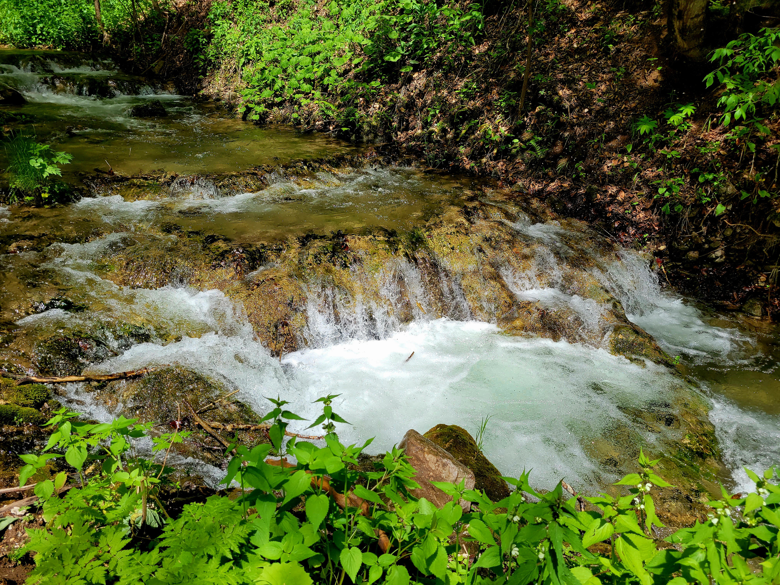 Узкая дорожка вьется по склону горы, но маршрут короткий и легкий