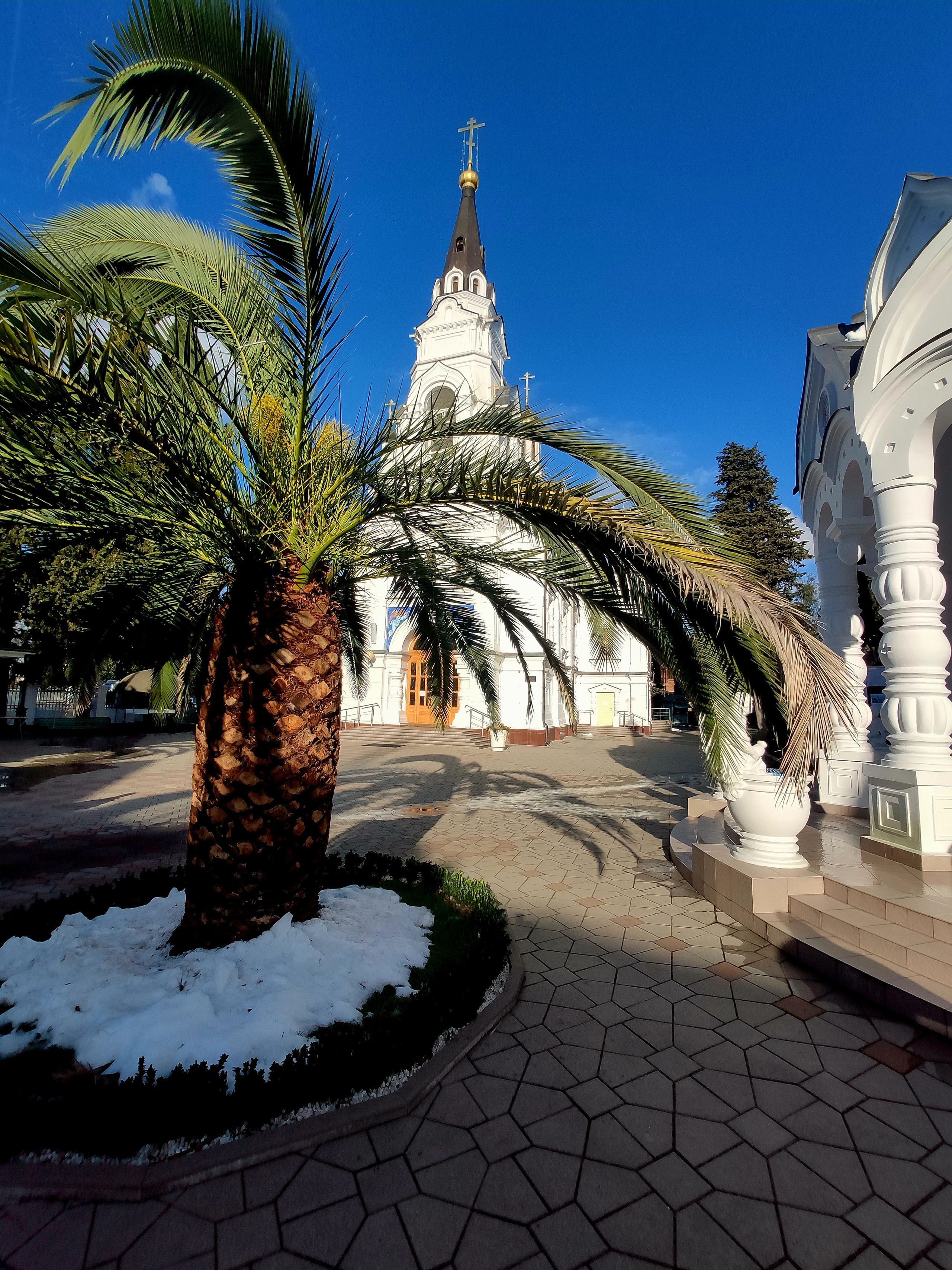 Снег и пальмы