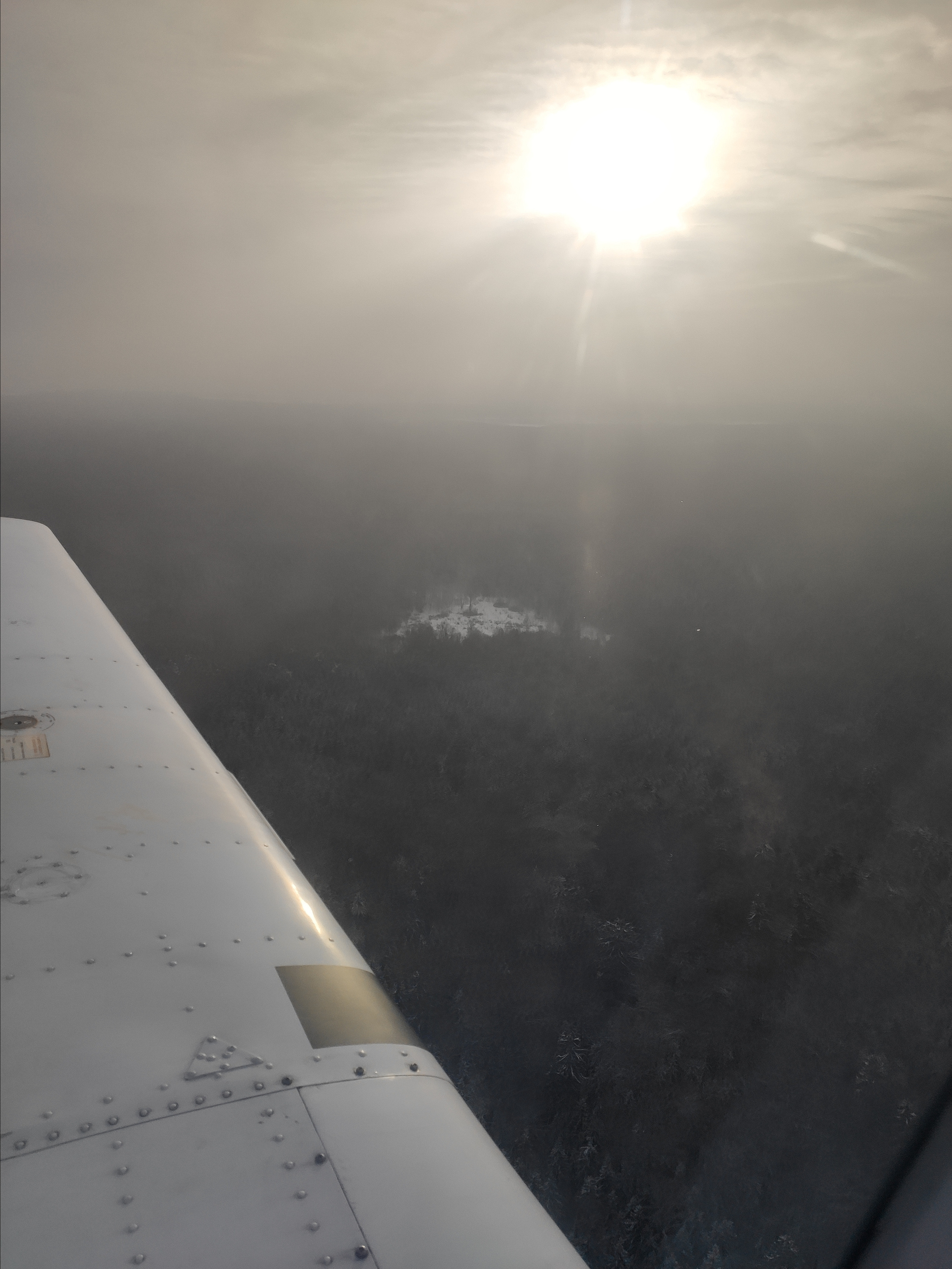 Зимнее солнышко