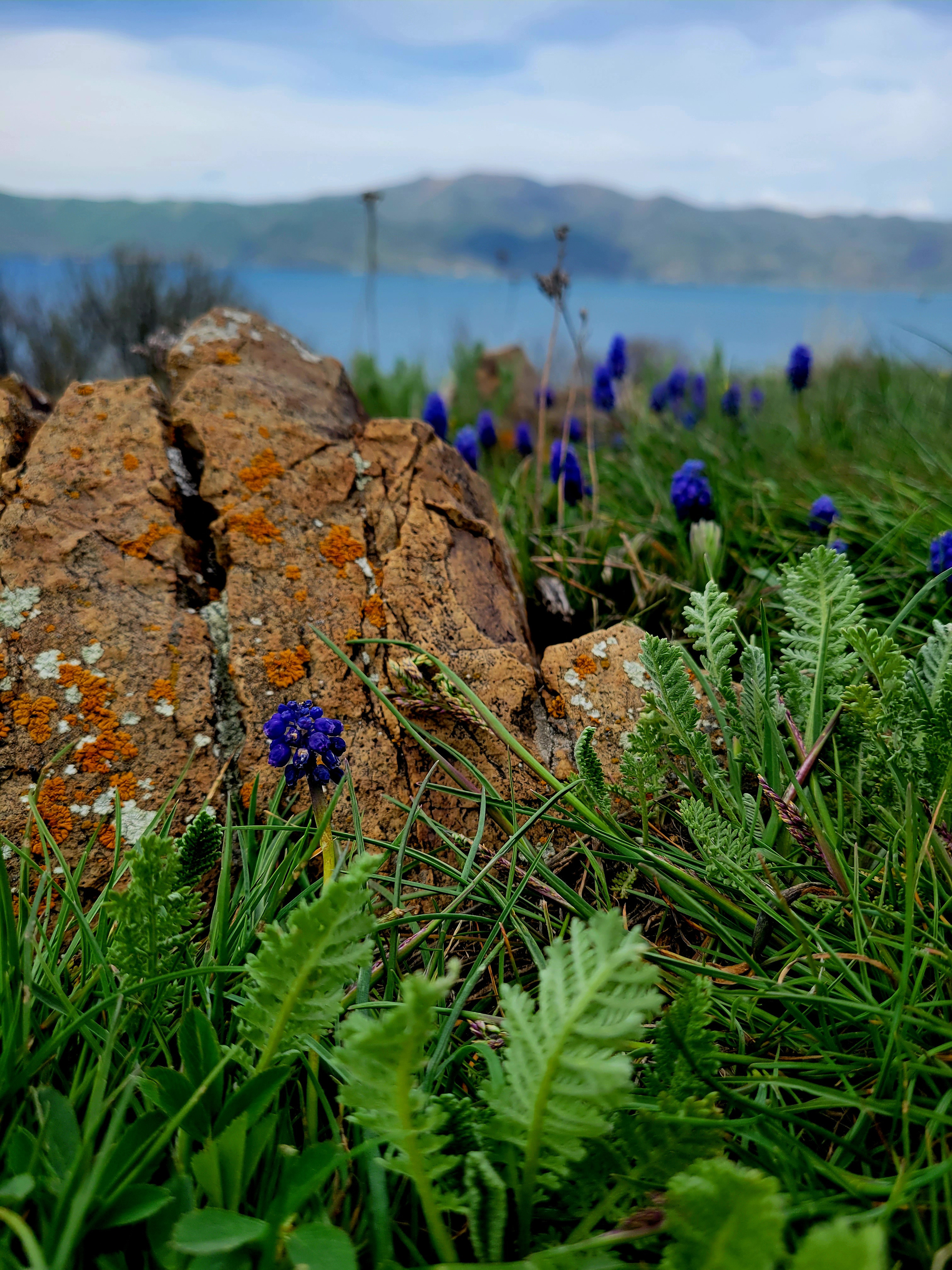 По озеру бегут сильные волны.