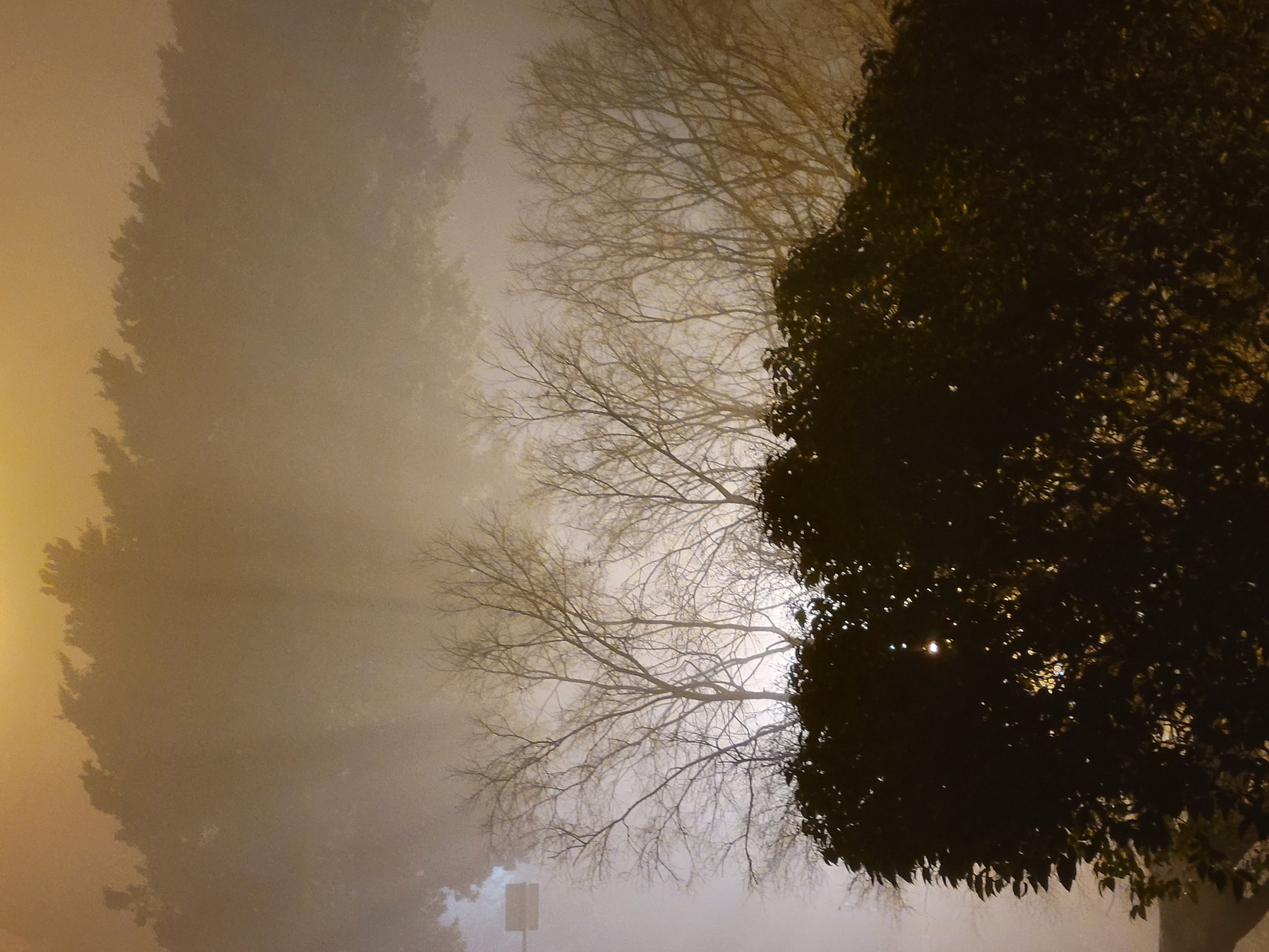 It's amazing. I have seen FOG like this on the 1st of Jan before in Venezia, yaer later - Verona. Now it met me in Pula. 