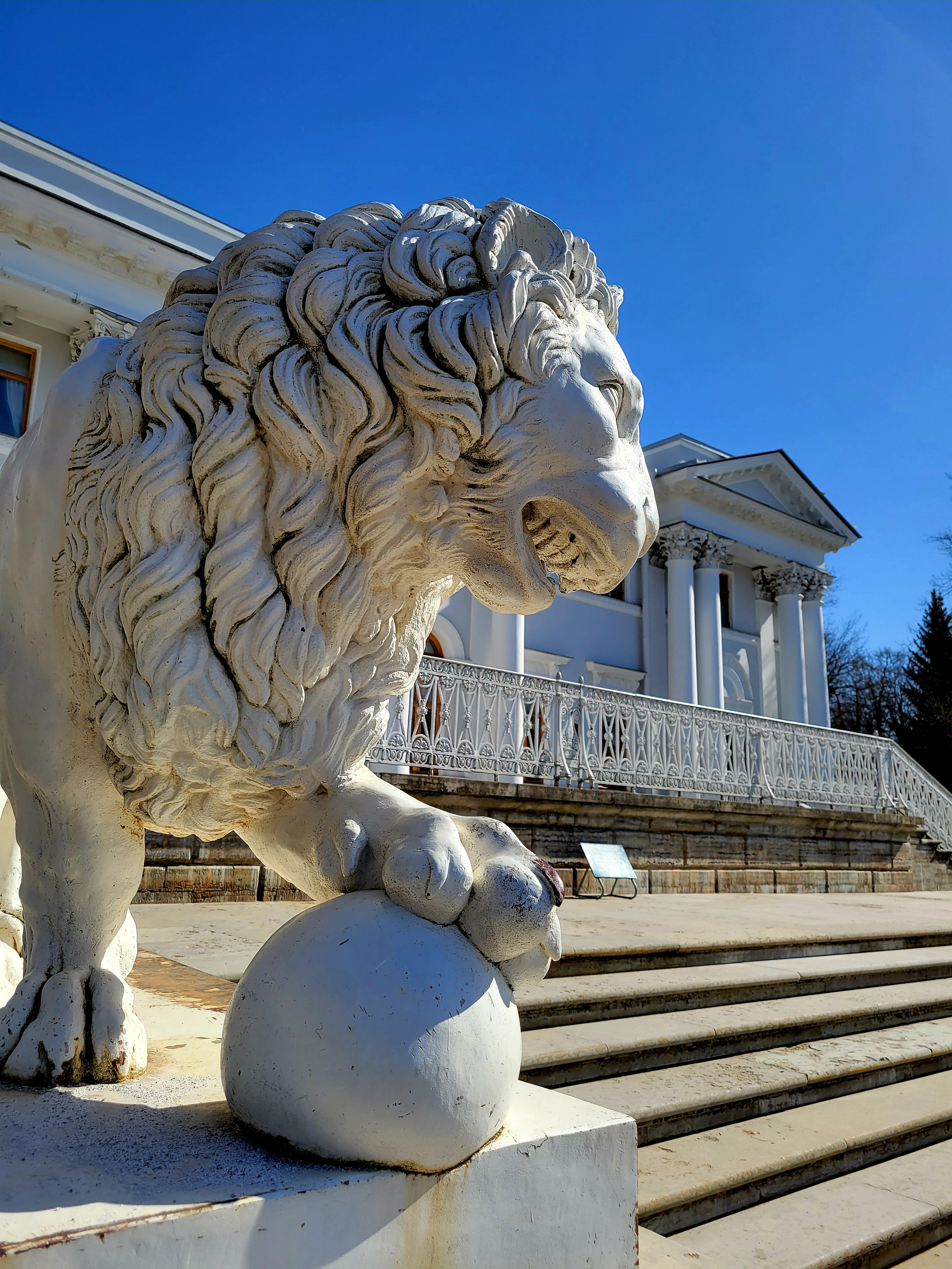 Лев-футболист, охраняющий дворец