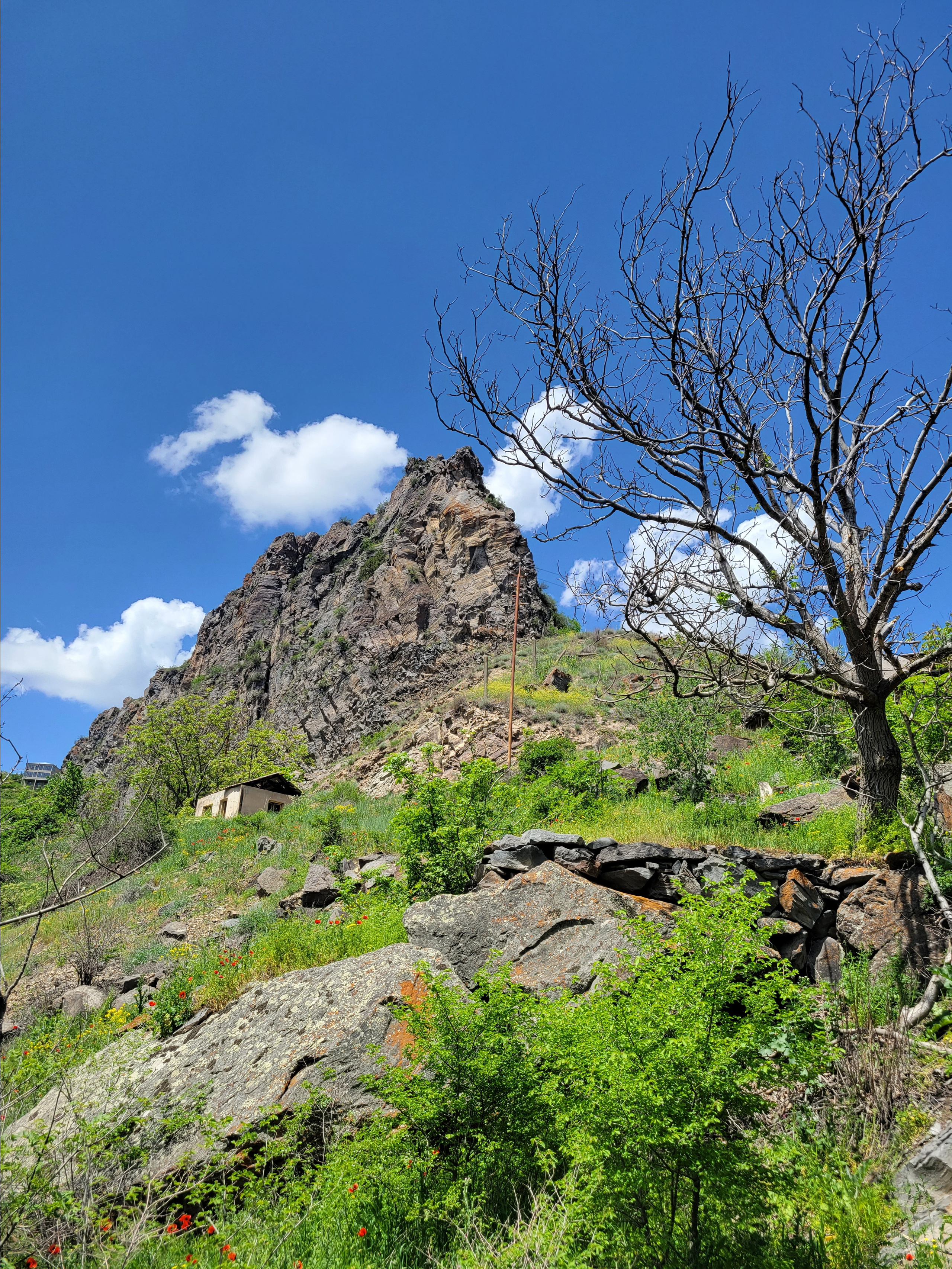 На середине пути дорога закончилась, началась тропинка. Пара поворотов, пробираемся между валунами... И тут слышу, что-то зашуршало по камням рядом. Змея, около 1 м длиной, по расцветке похожа на гадюку Даревского, гюрзу или шахмара. Головы не видел, но трижды за 5 минут на нее наткнулся. Решили вернуться. Спаслись от змеи на такси в горку из местного эко-отеля.