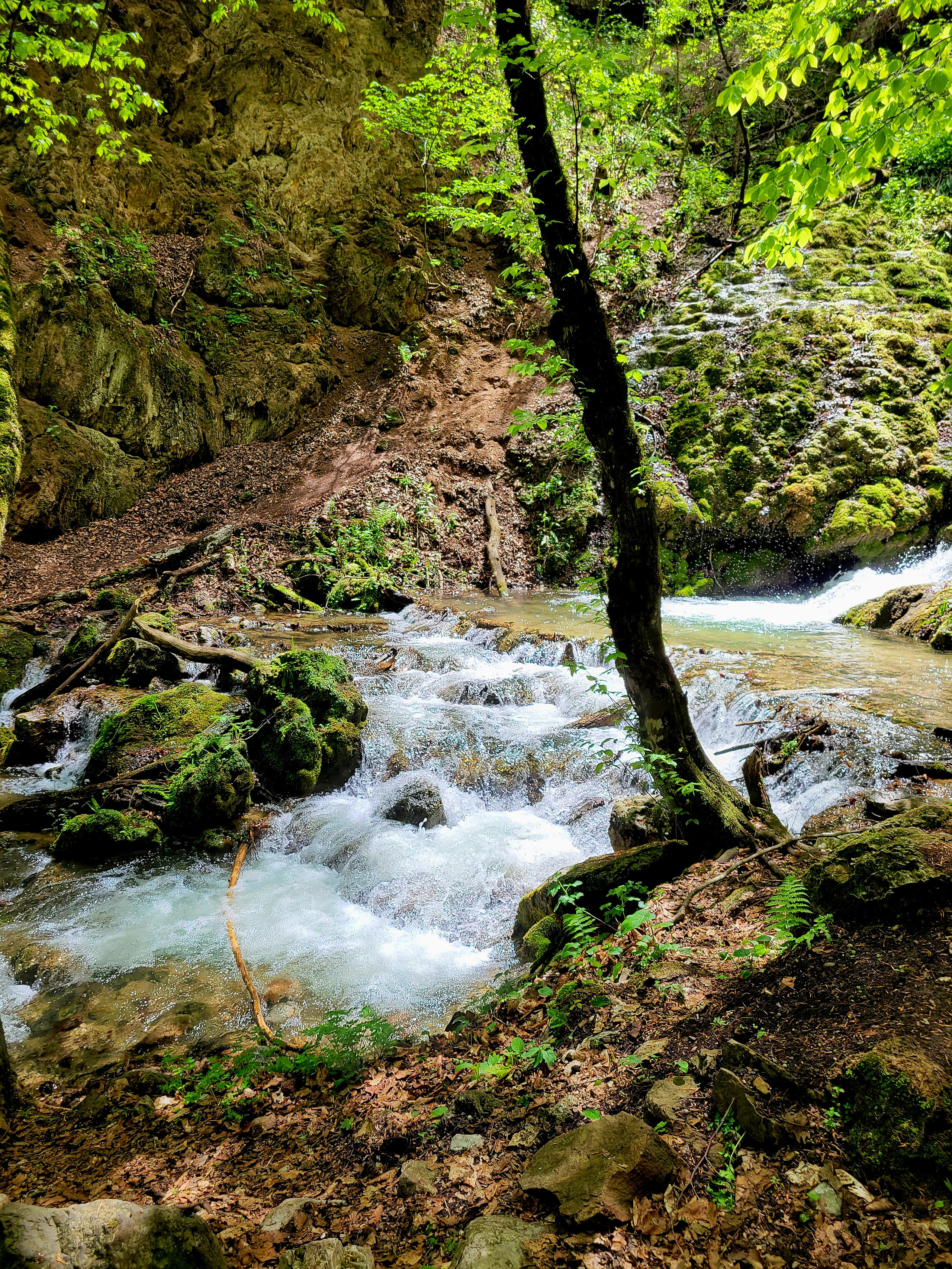 Чистейшая горная вода, по составу схожа с Боржоми и Вичи