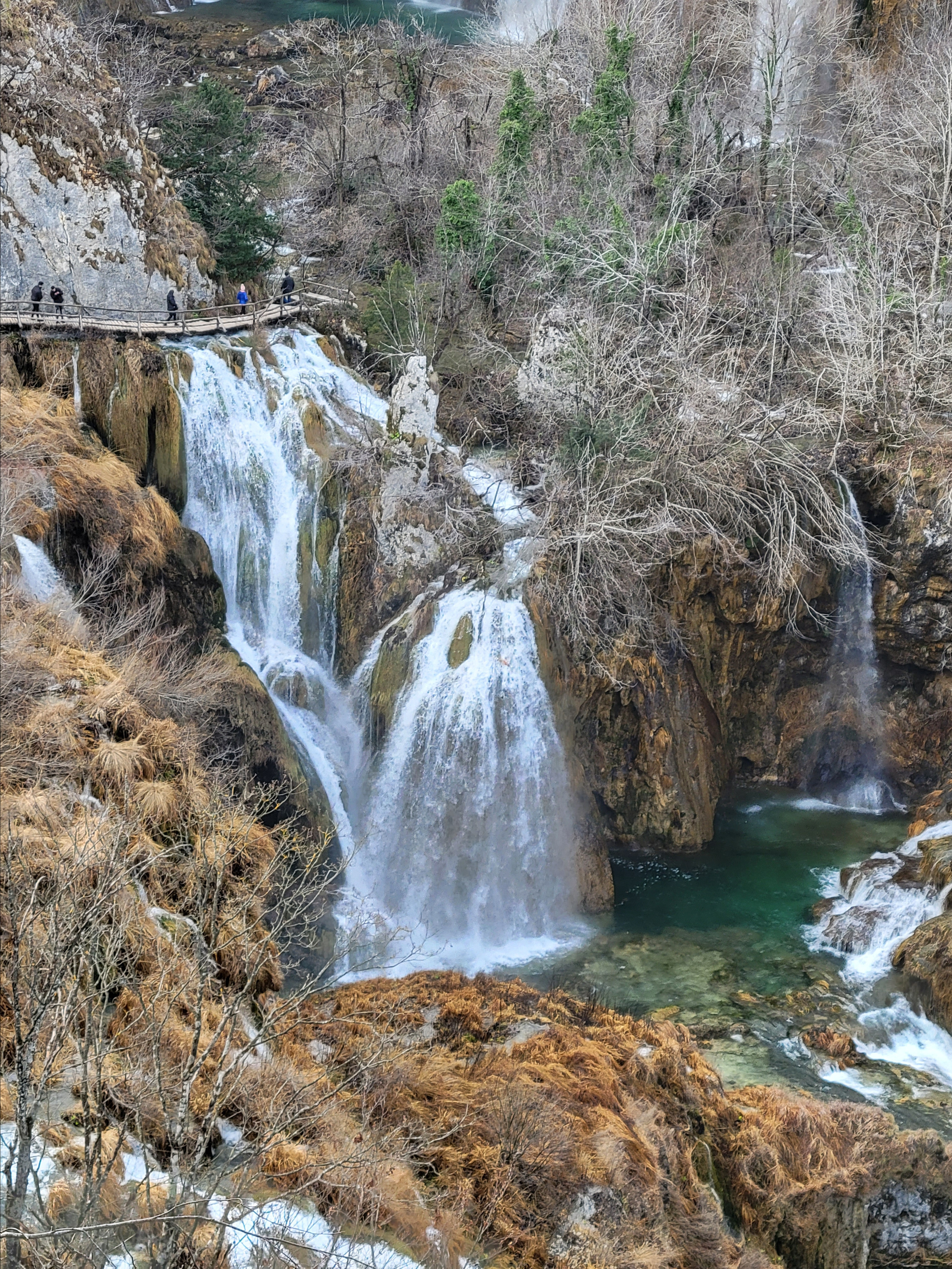 Сейчас по всему парку дорожки-настилы, электрокораблики и автобусы.