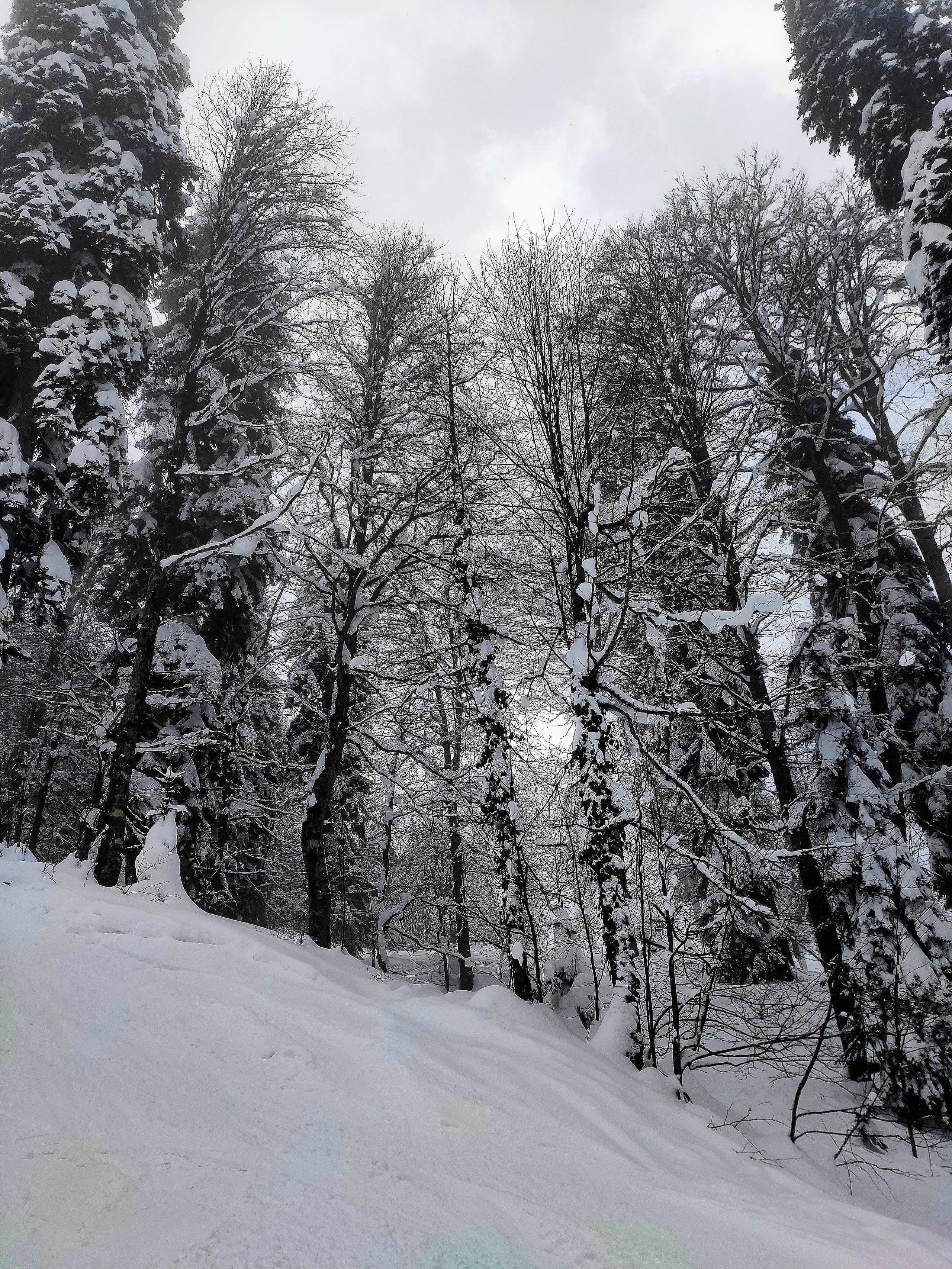 Как обычно в Сочи, туманы и тучки - частые гости