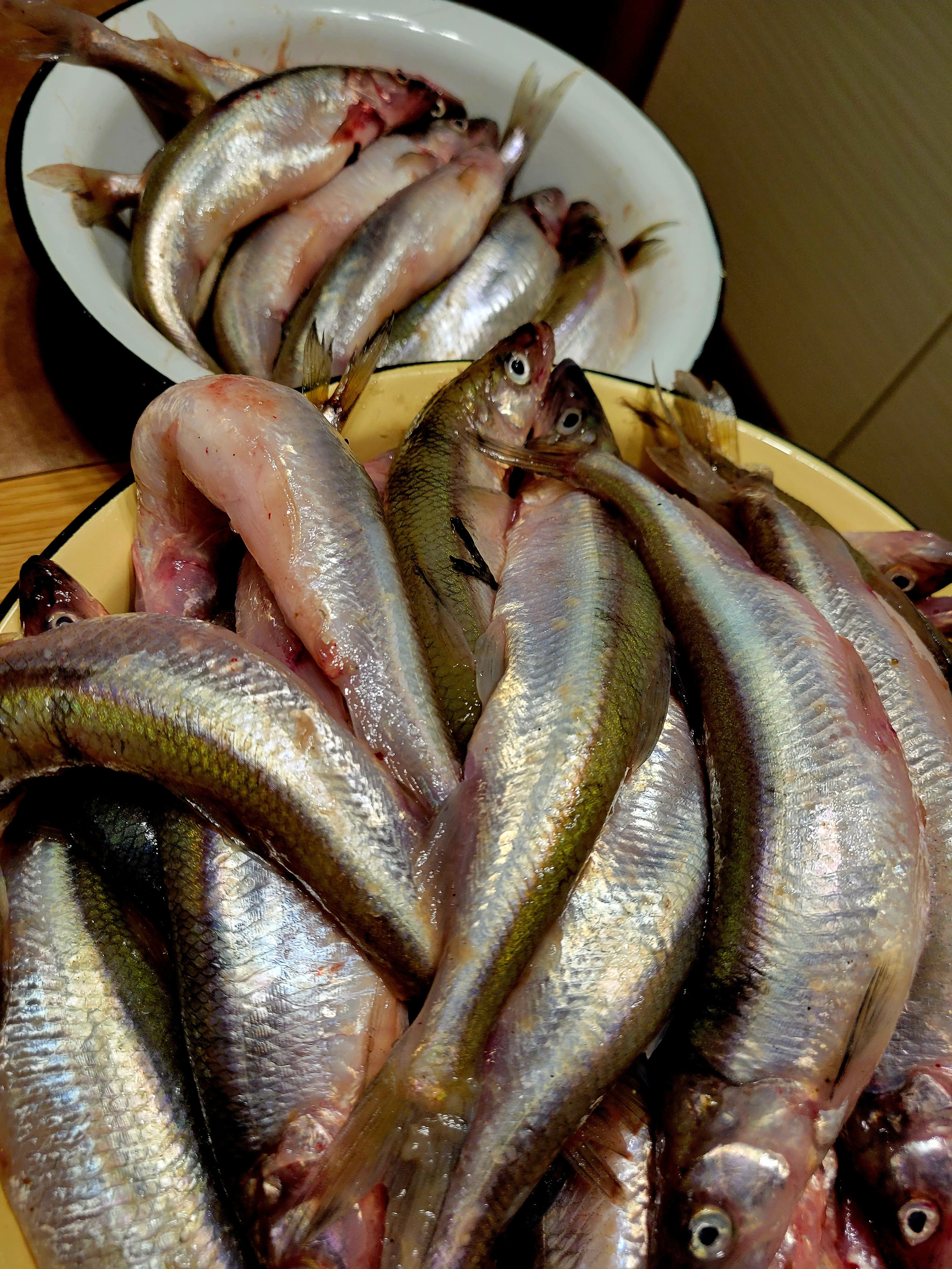 Мы законопослушные. Наловили на рынке :)