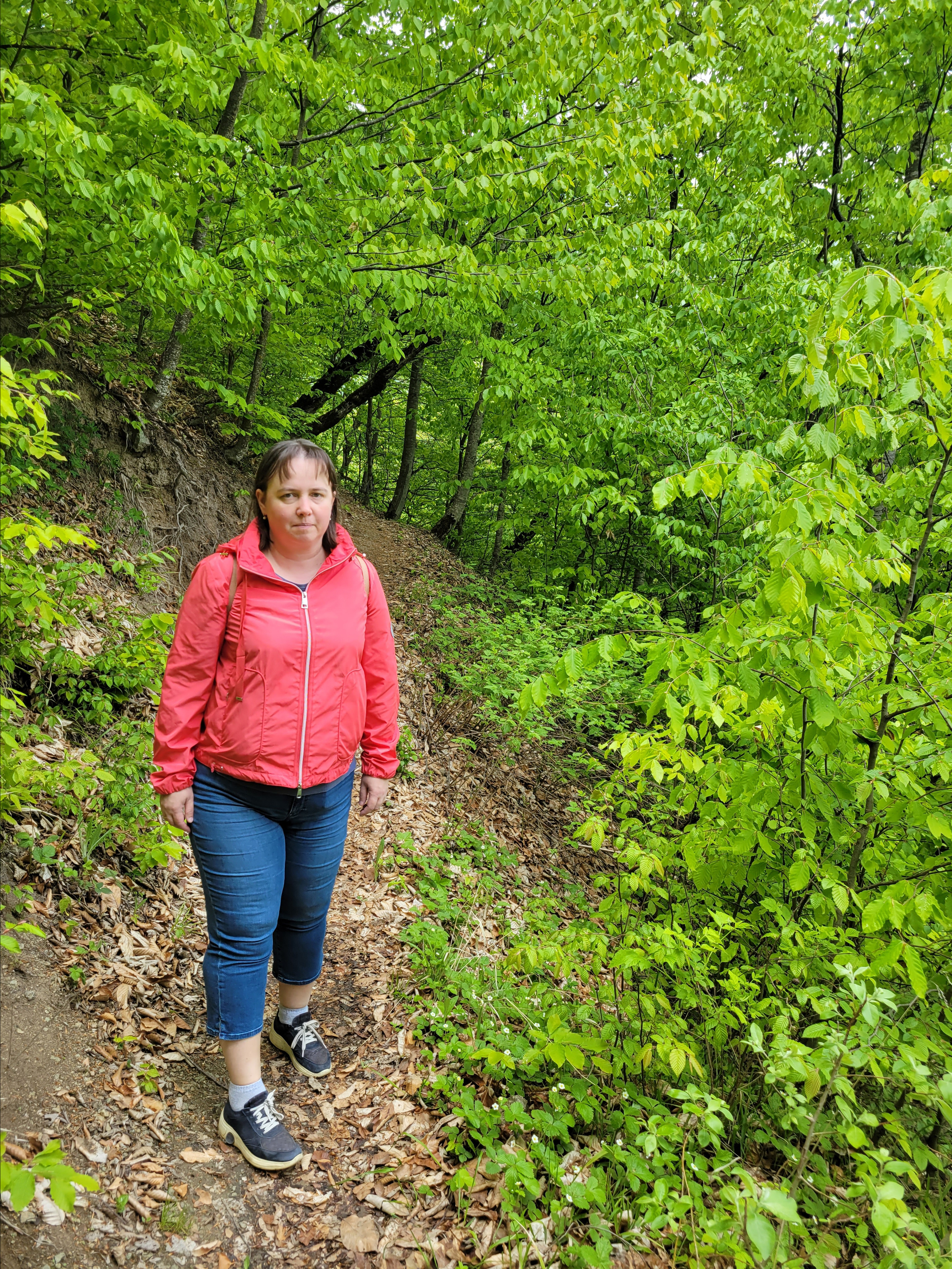 До Севана поля и горы покрыты травой и кустарником. Дальше попадаешь в туннель, а на другой стороне начинается другой мир. Буйство зеленого цвета, горы покрыты густыми лесами