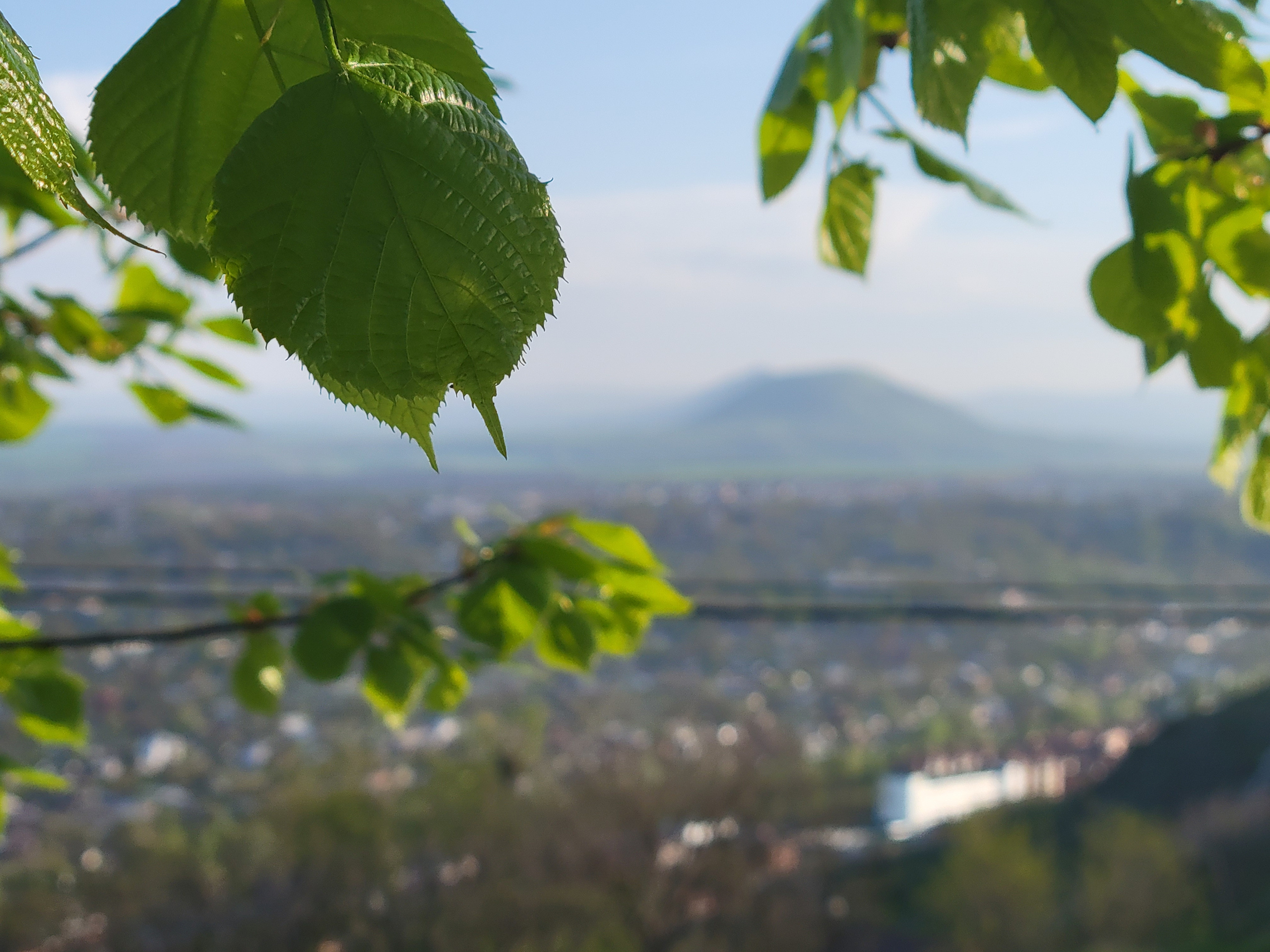 В Пятигорске на дуэли с Мартыновым погиб М.Лермонтов