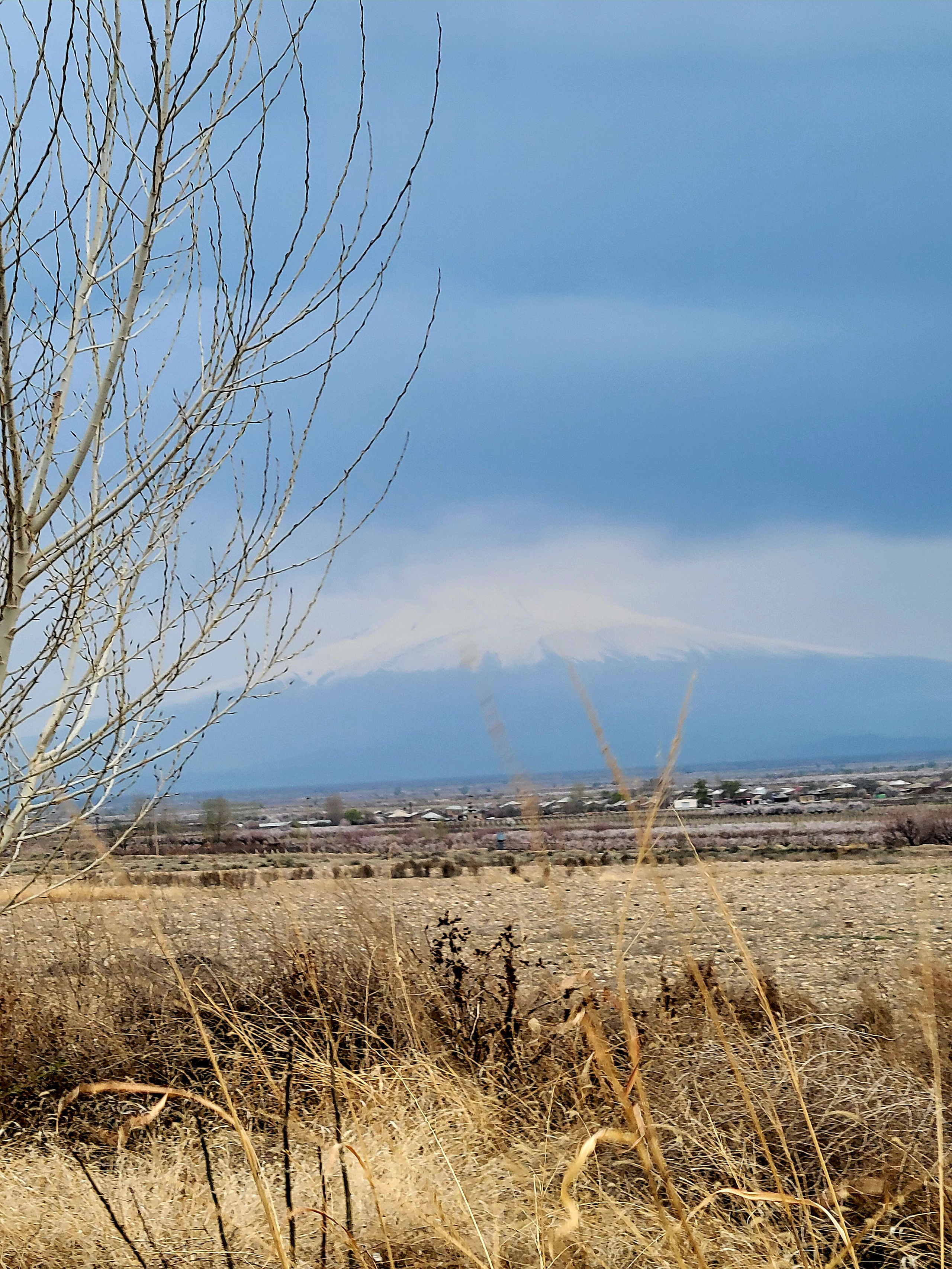 In the evening Ararat appears
