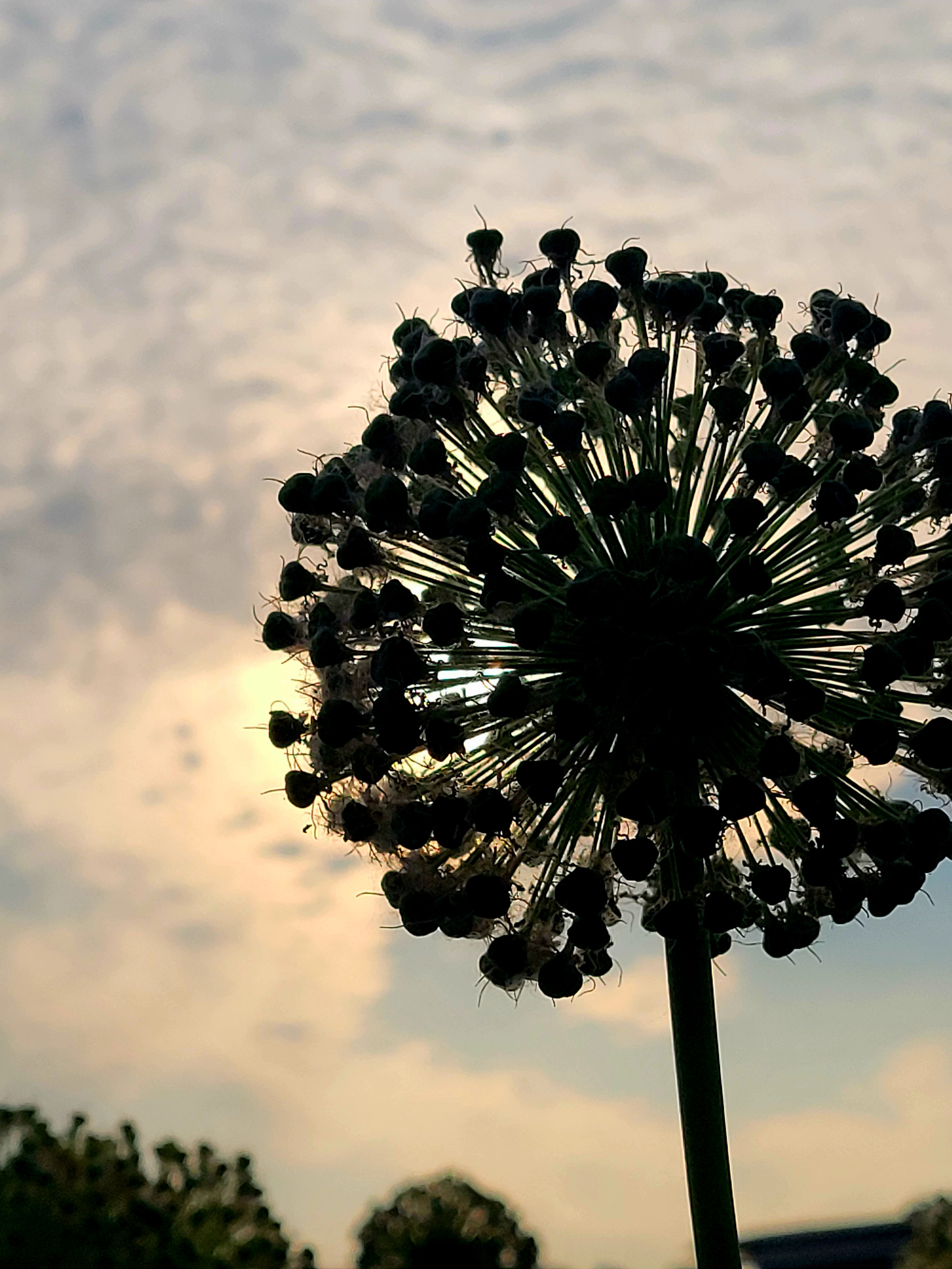 Предстартовый вечер тих и спокоен. Одно волнение - не нагреется ли вода выше 24, а тогда запретят гидрики
