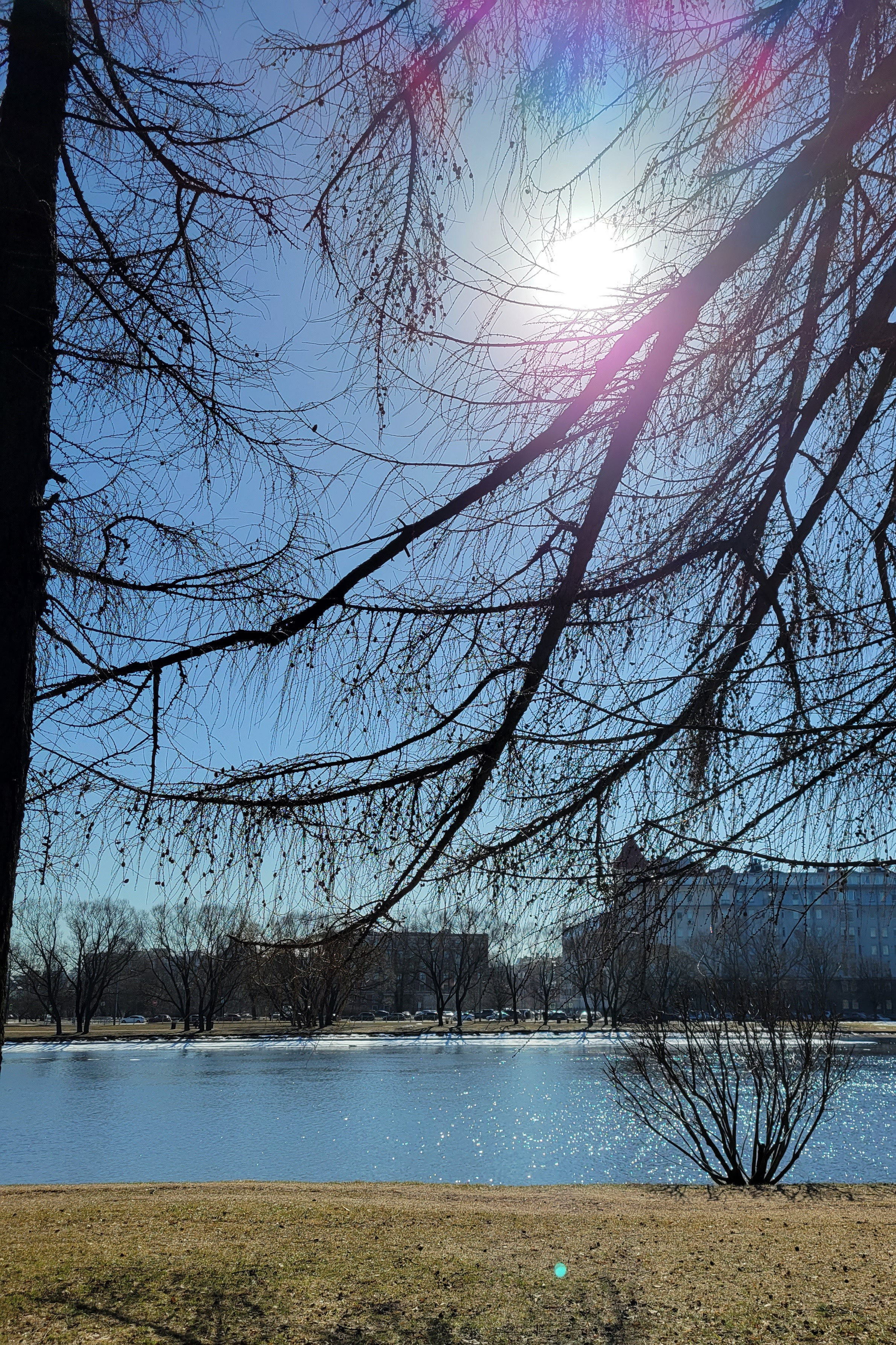 Опять по случаю нашего приезда в Санкт-Петербурге включили солнышко