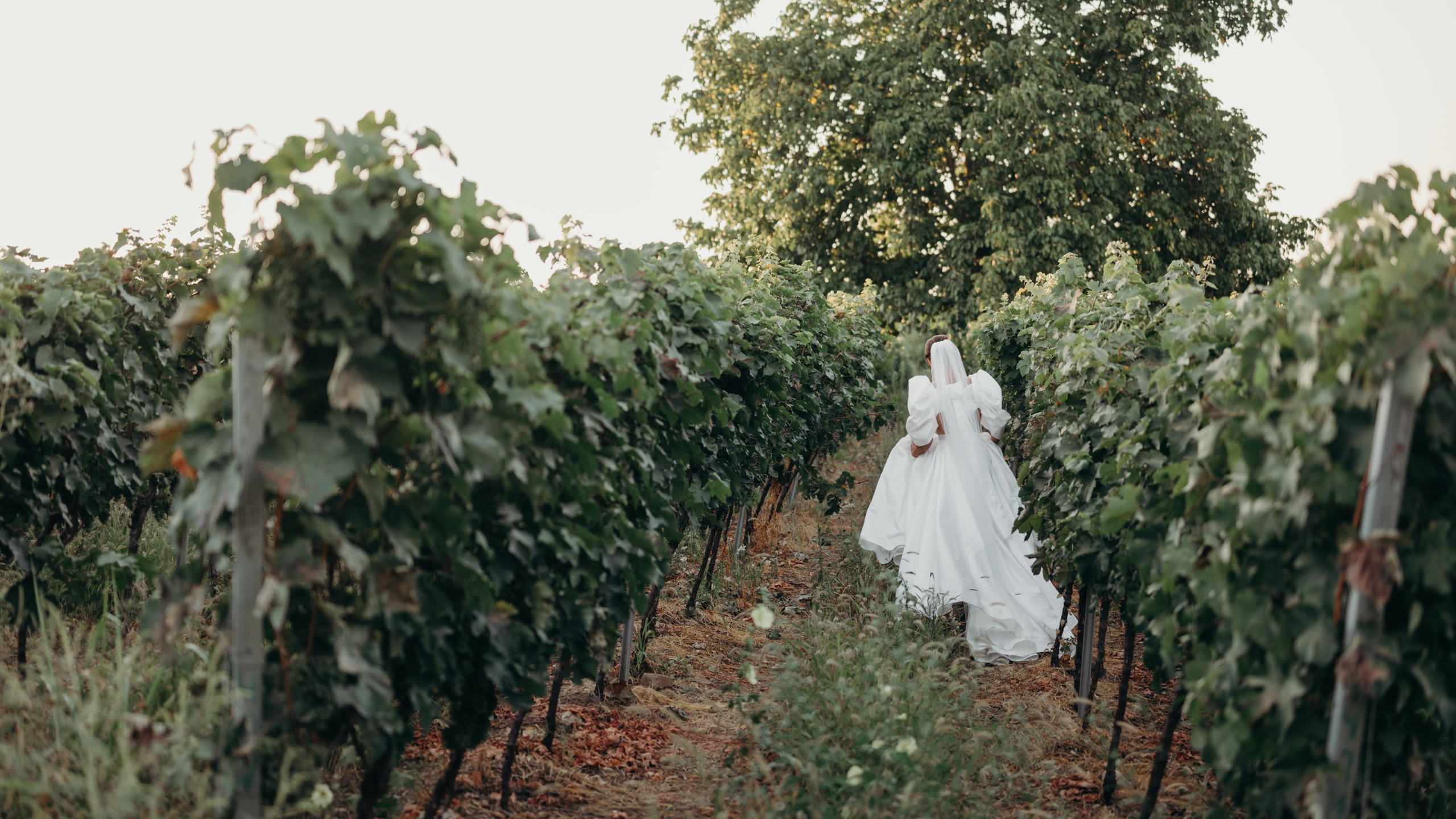 Max & Anna. Агентство по организации мероприятий