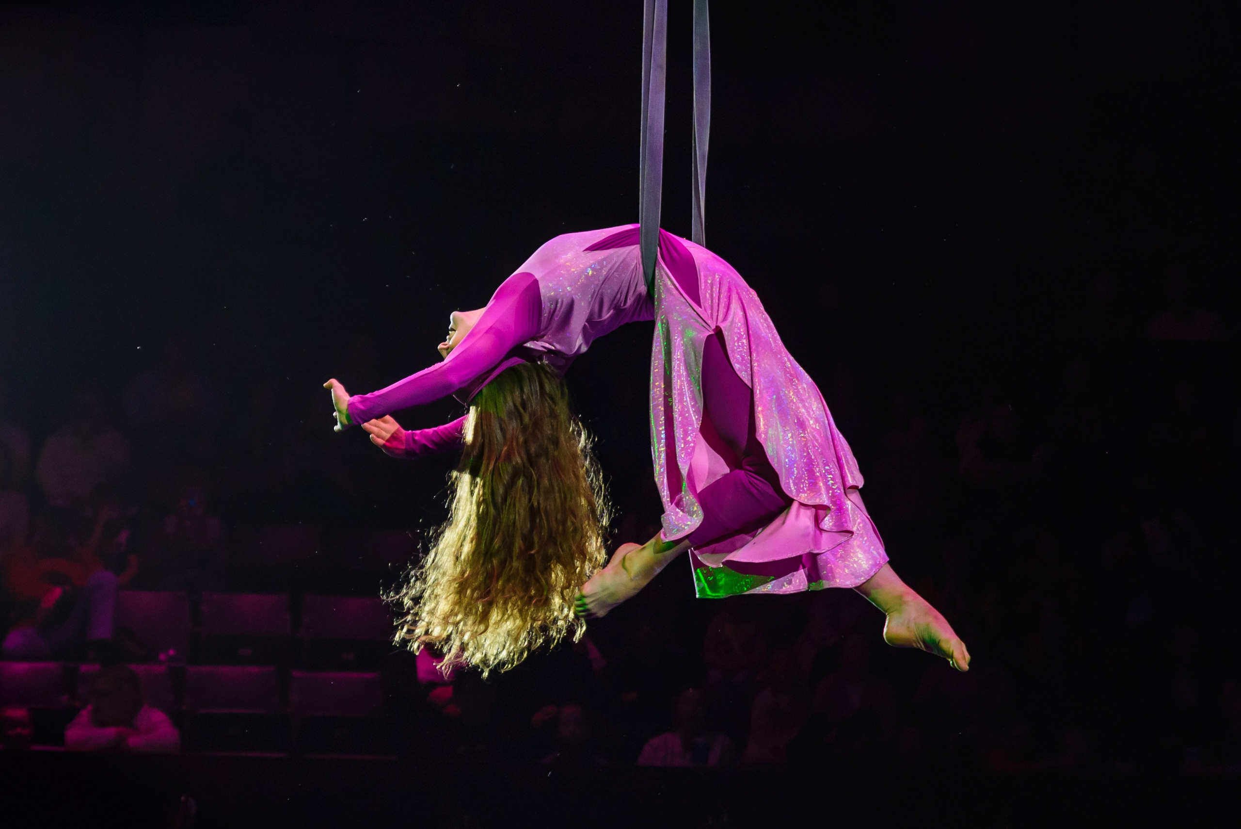 Пермский государственный цирк. Фотограф в Ханты-Мансийске Евгений Жуланов