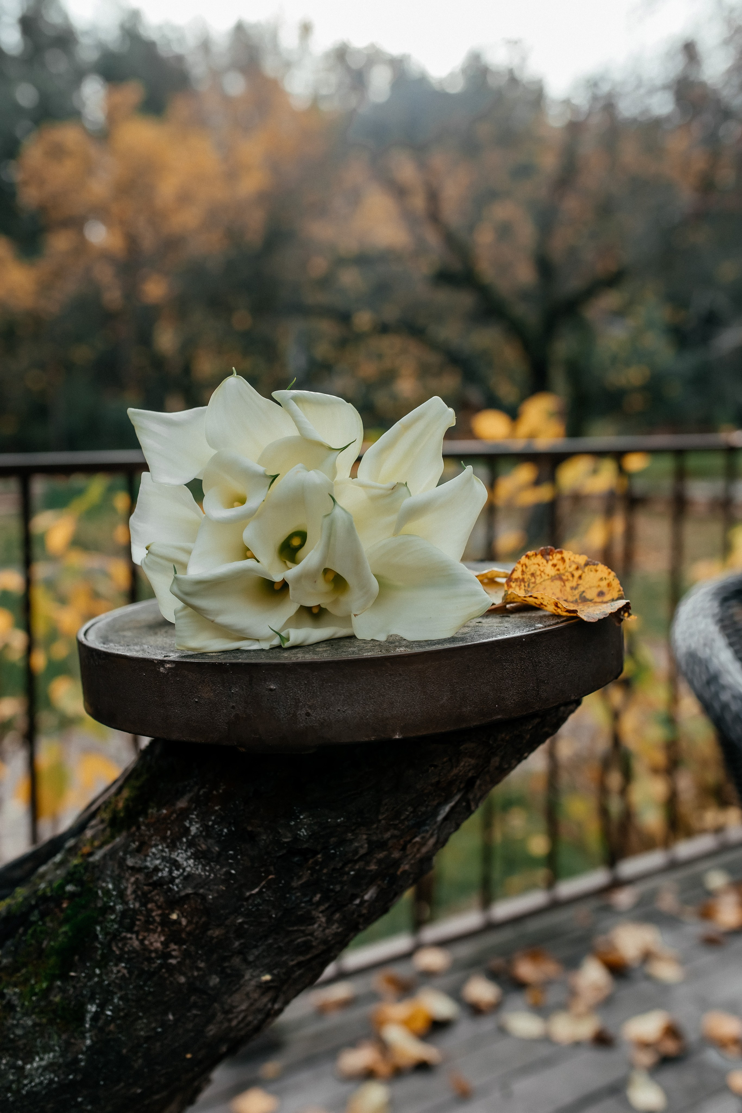 Ирина и Максим. Домодедовский ЗАГС и прогулка. Профессиональный фотограф, Москва |Видное Елена Елизарова