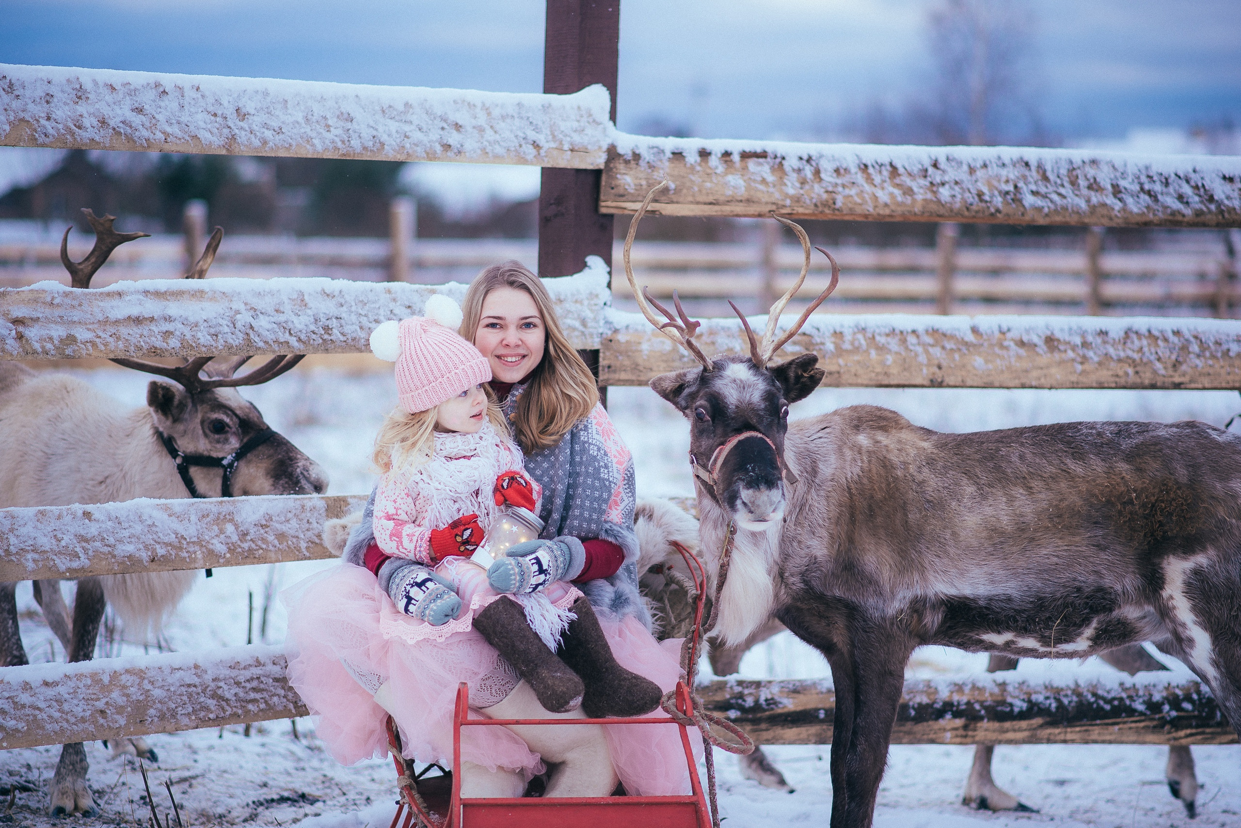 Съемка с животными в Авенсисе. Семейный и детский фотограф и видеограф в Санкт-Петербурге Веденина Юл
