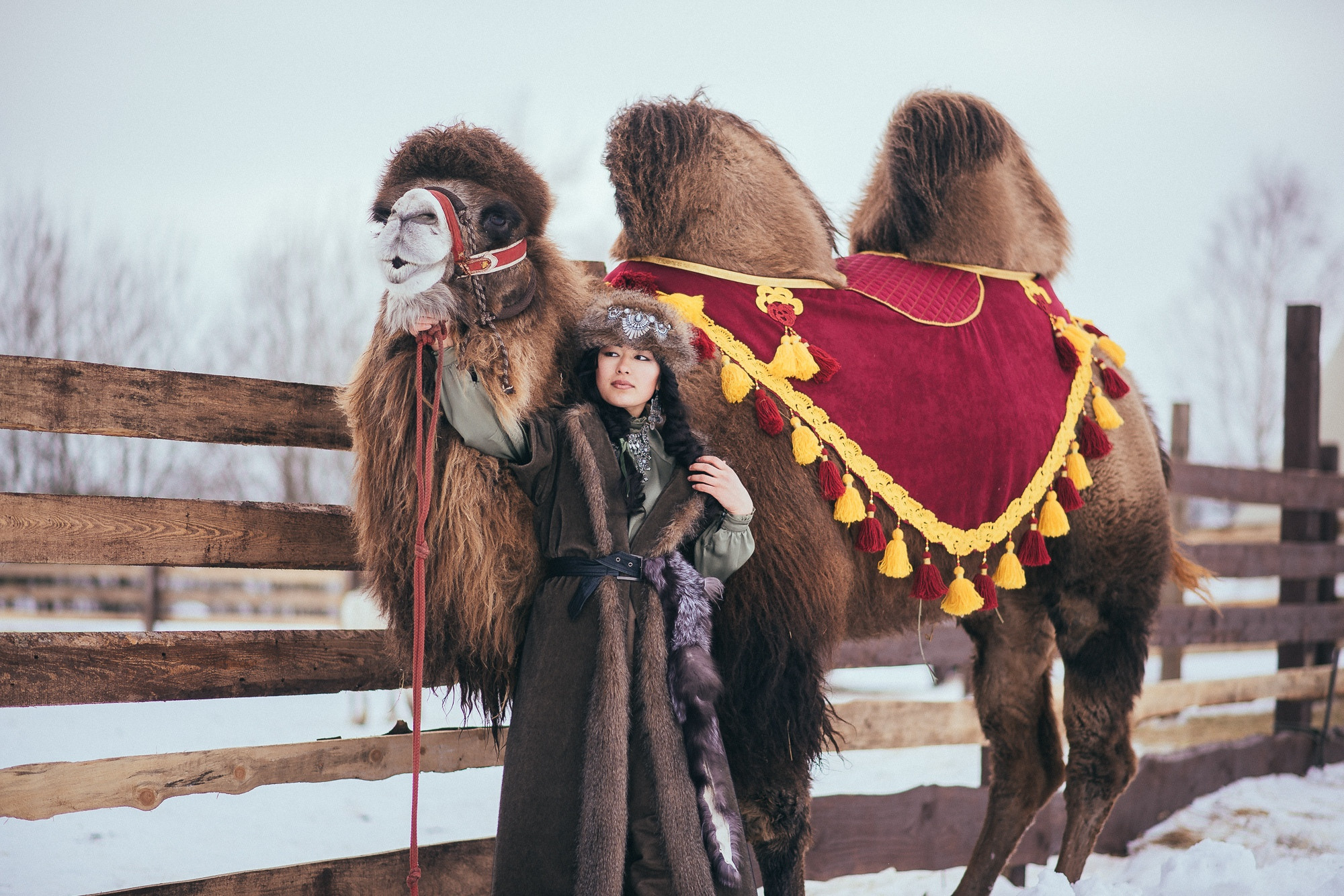 Съемка с животными в Авенсисе. Семейный и детский фотограф и видеограф в Санкт-Петербурге Веденина Юл
