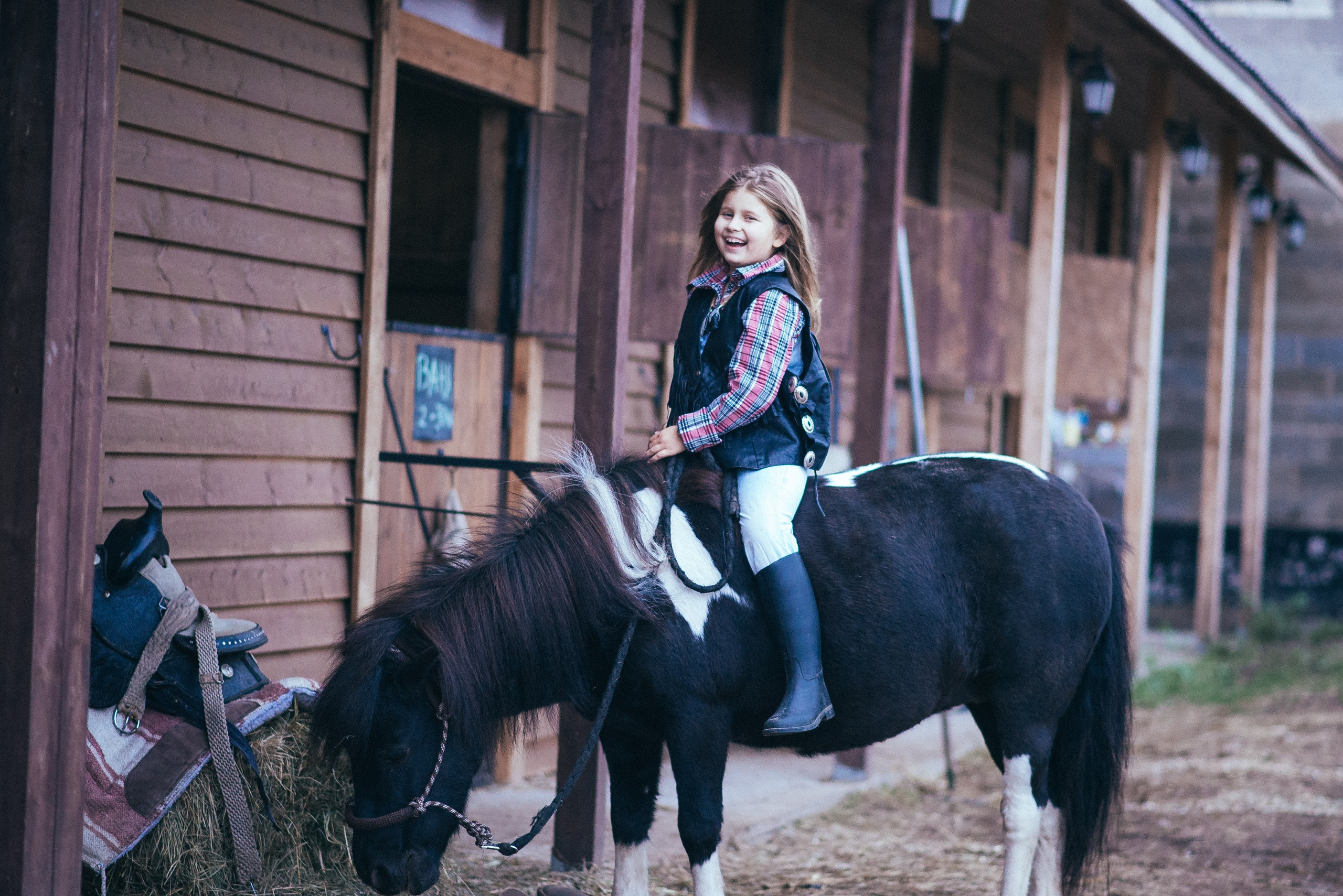 Съемка с животными в Авенсисе. Семейный и детский фотограф и видеограф в Санкт-Петербурге Веденина Юл