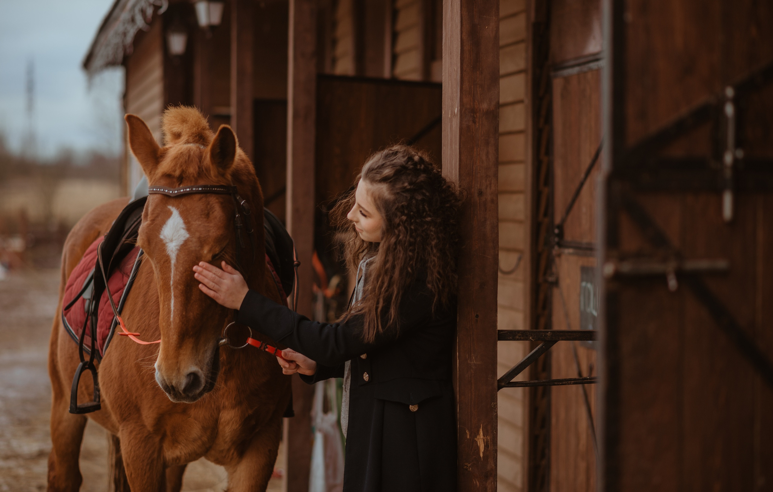 Съемка с животными в Авенсисе. Семейный и детский фотограф и видеограф в Санкт-Петербурге Веденина Юл