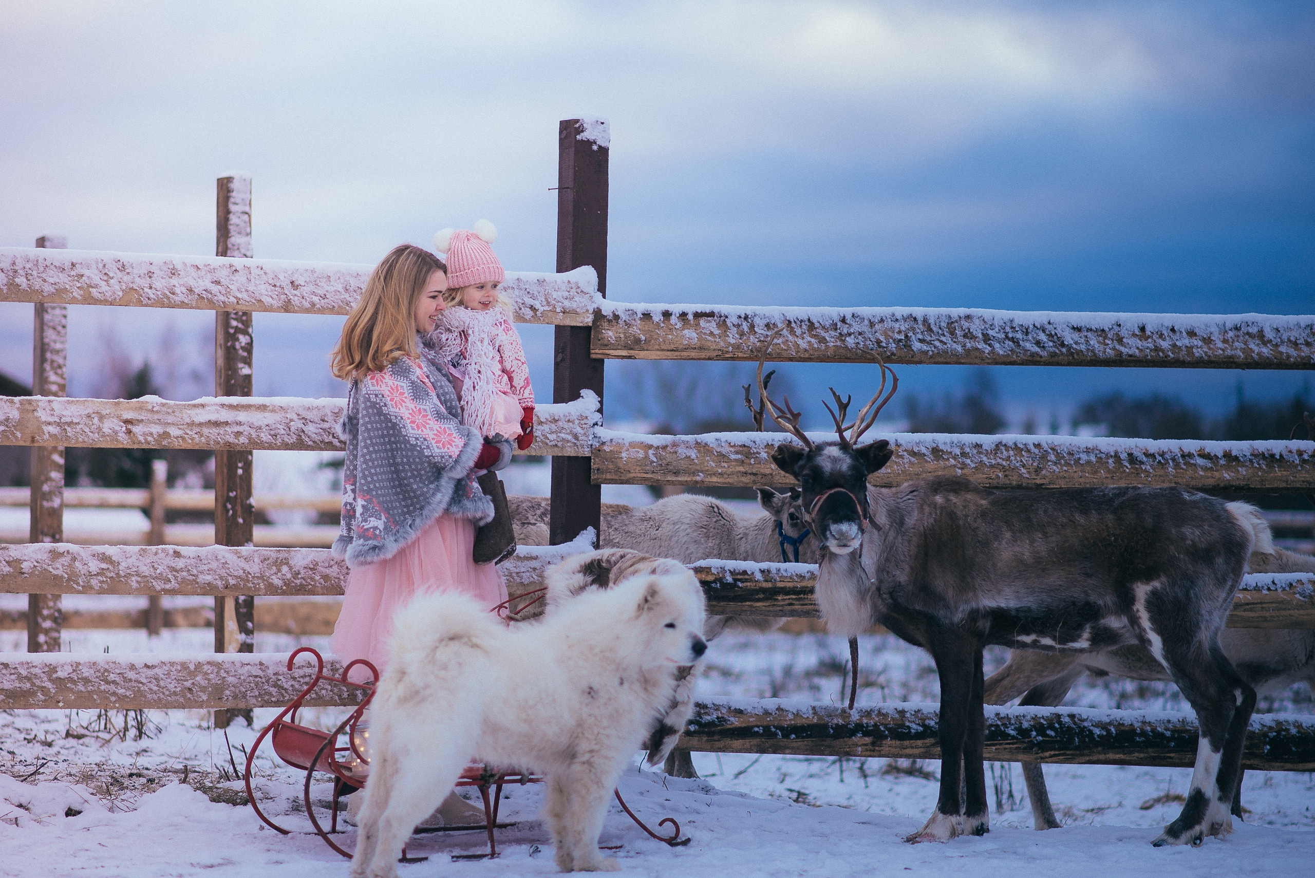 Съемка с животными в Авенсисе. Семейный и детский фотограф и видеограф в Санкт-Петербурге Веденина Юл