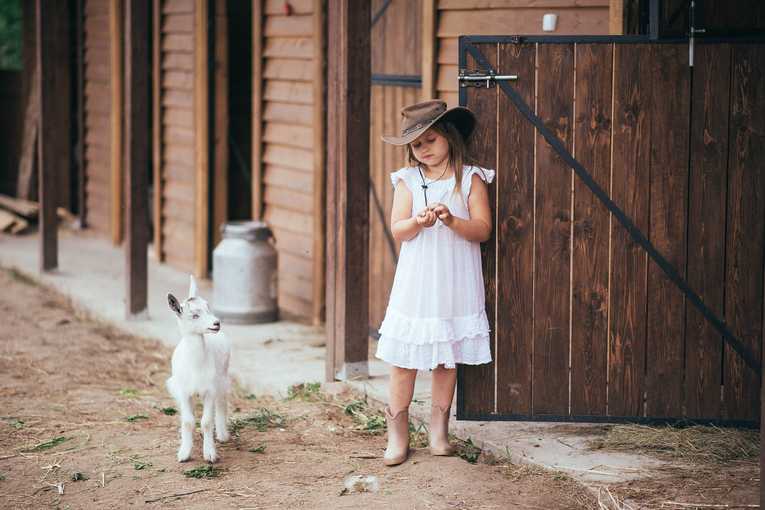 Съемка с животными в Авенсисе. Семейный и детский фотограф и видеограф в Санкт-Петербурге Веденина Юл