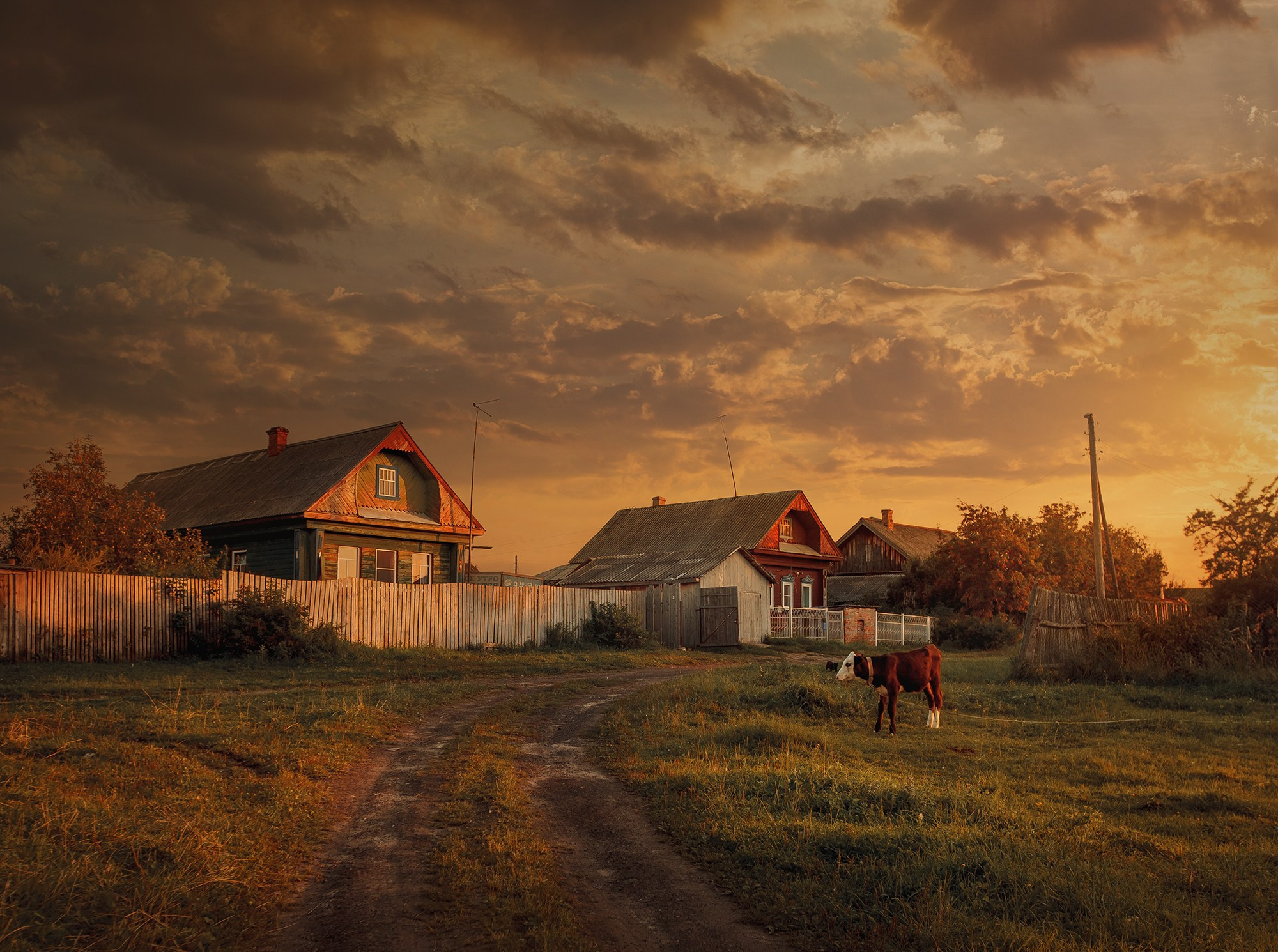 Пейзаж. Детская Конная фотография в Москве Юлия Шепелева