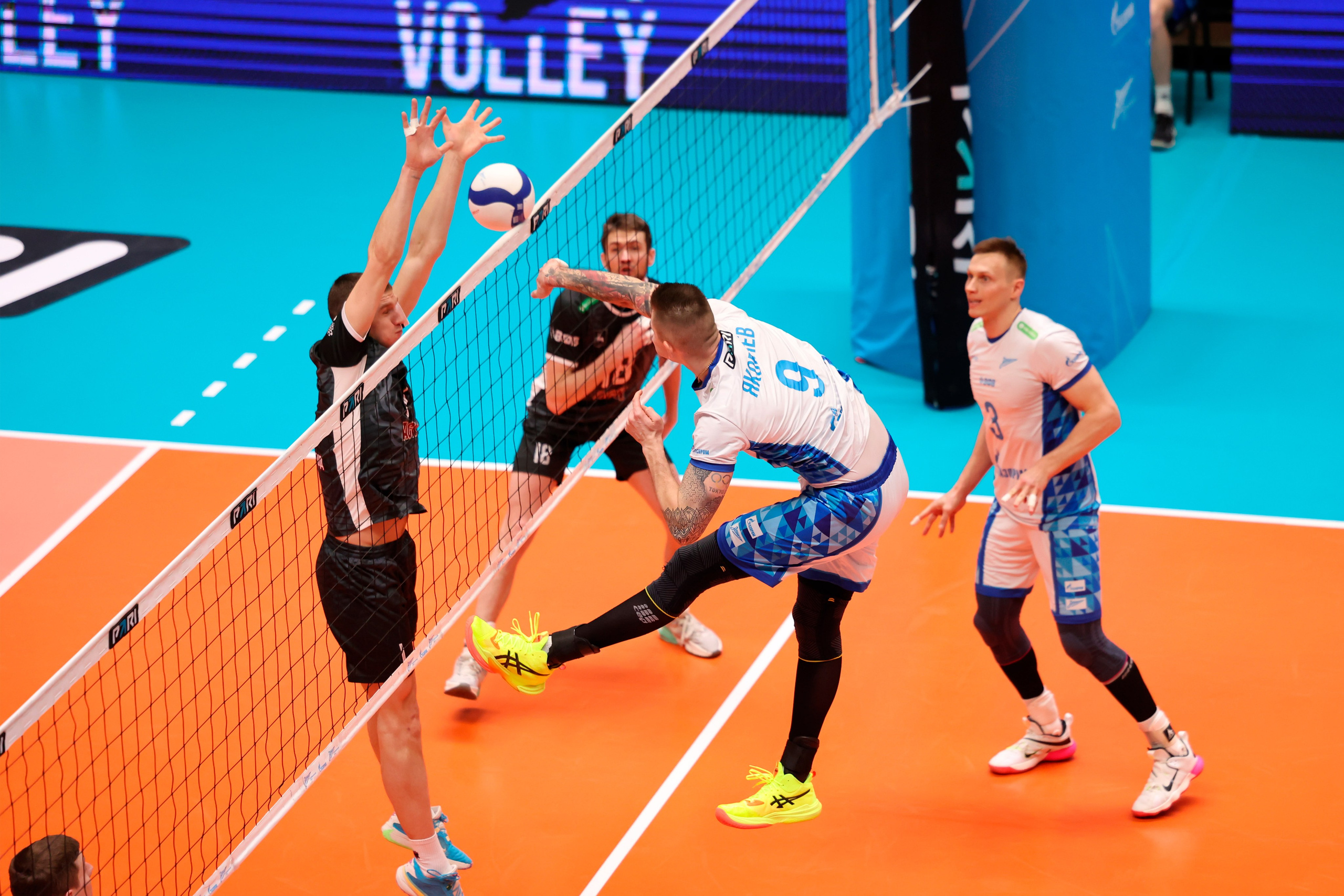 ВК Зенит — ВК АСК 15.03.2025. Спортивный и репортажный фотограф Антон Тереханов