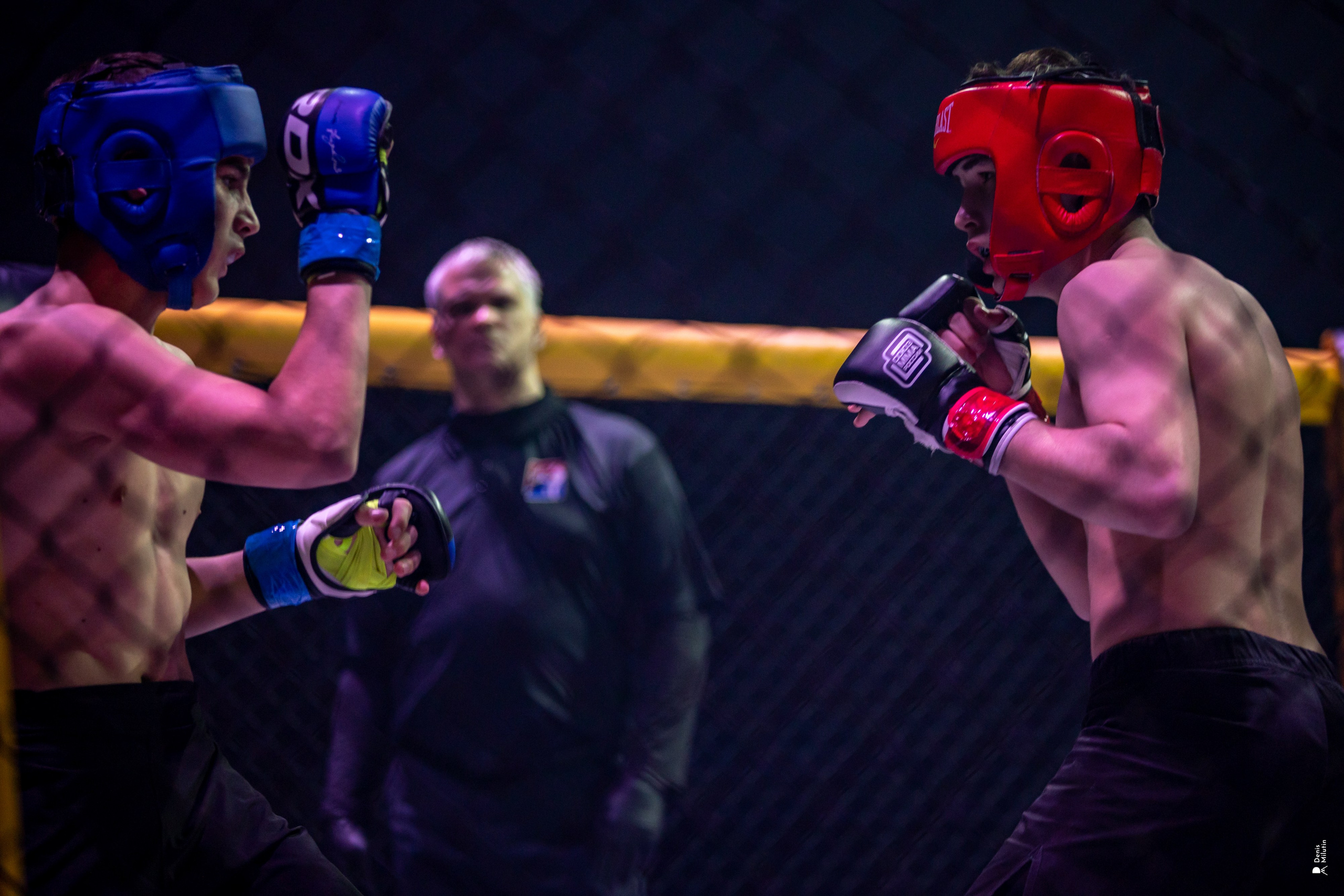 Бои в клетке «Северный Воин». Портретный фотограф Денис Милютин