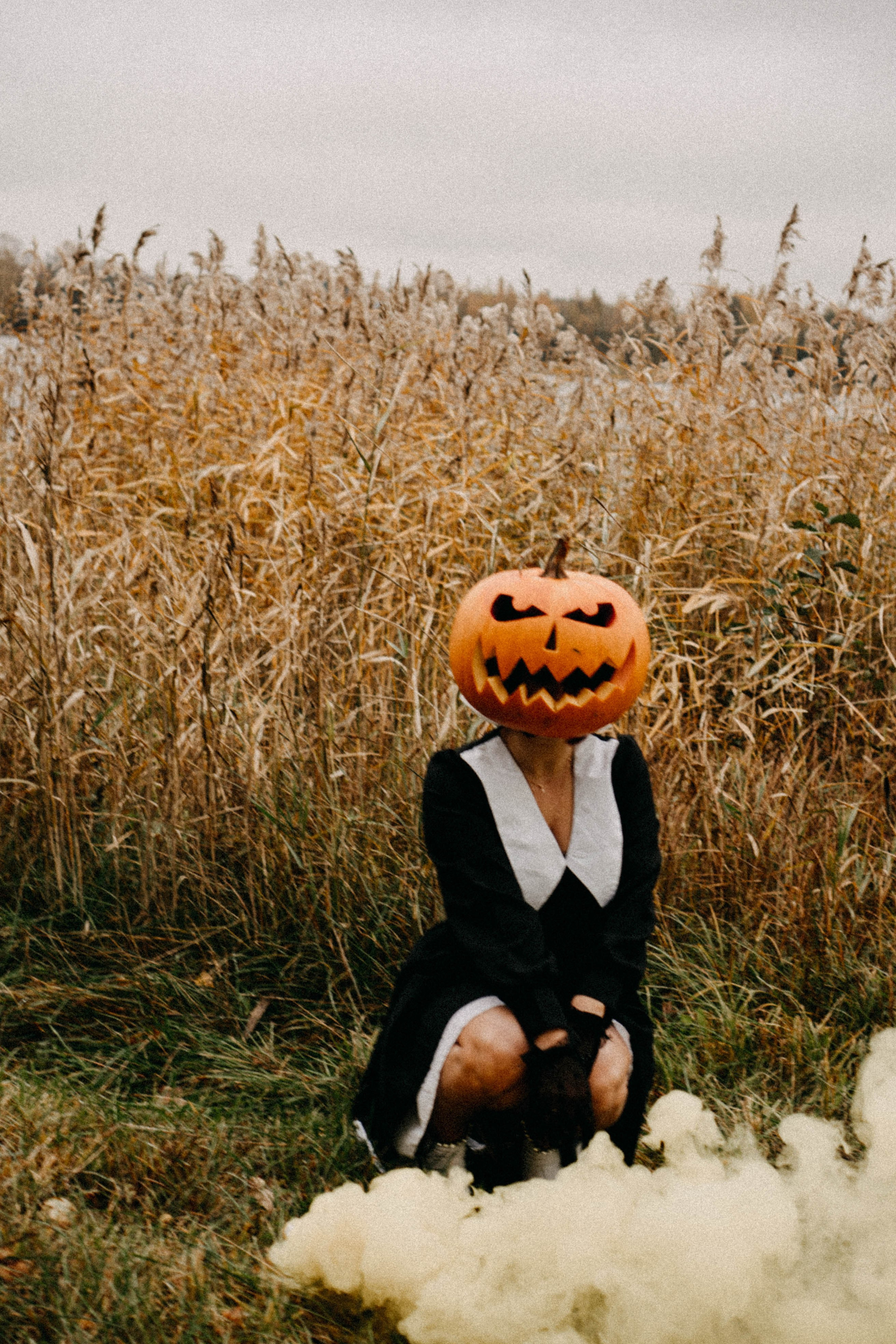 Осеняя. Профессиональный фотограф, Санкт-Петербург — Виктория Богомолова