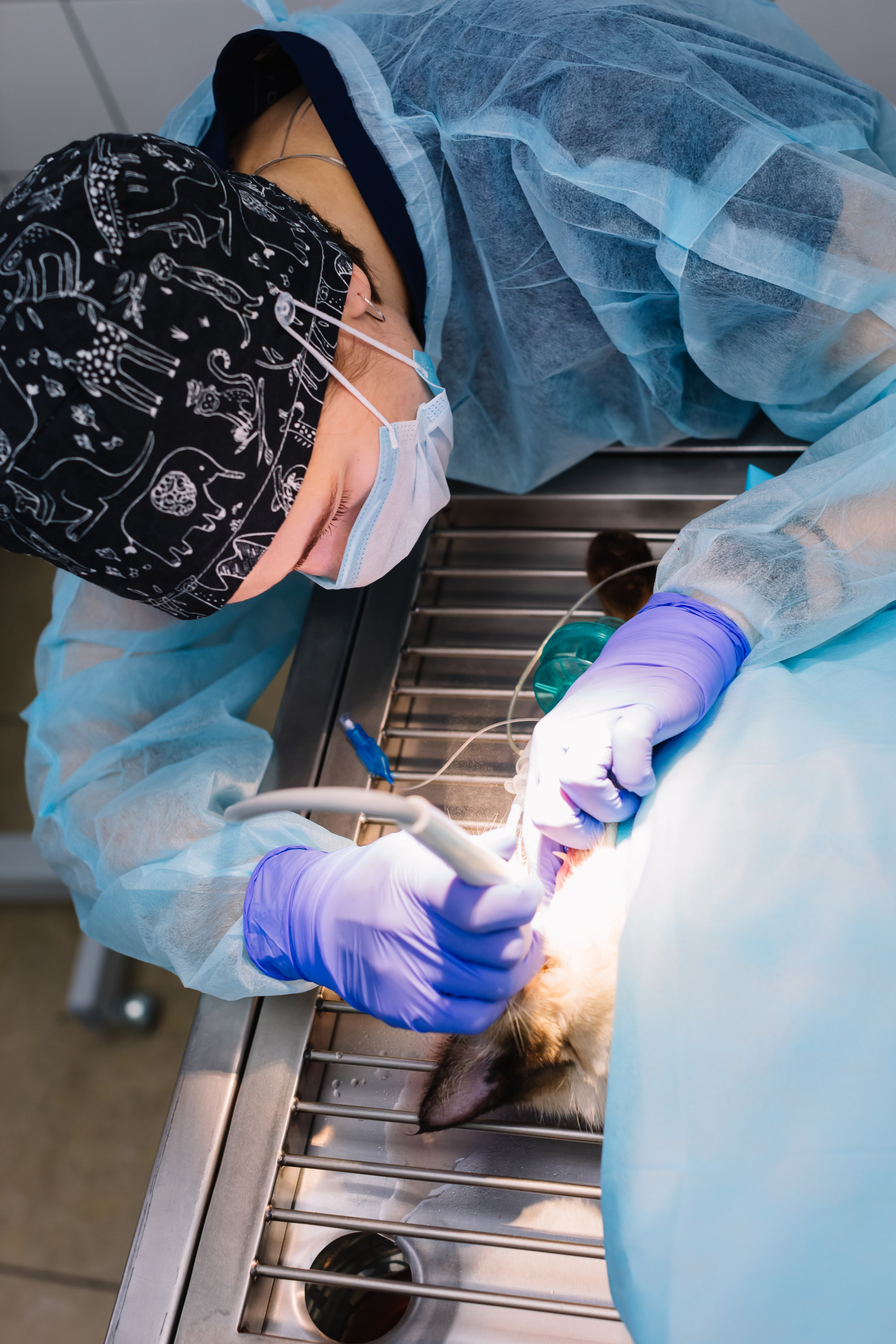 алёна малахова фотограф новосибирск семейный детский домашняя фотосессия в новосибирске день рождения репортажная съёмка фотосессия с лошадьми на конюшне деревня алтай  на природе фотосессия в детском саду мама и сын предложение руки и сердца идея  помолвка фотосессия берег закат детский день рождения годик торт аниматор лофт игровая продолжение следует prodoljenie_sleduet_  корпоратив тимбилдинг первоклашка линейка  контент  бизнес портрет оперный новат франция берет весна девушка